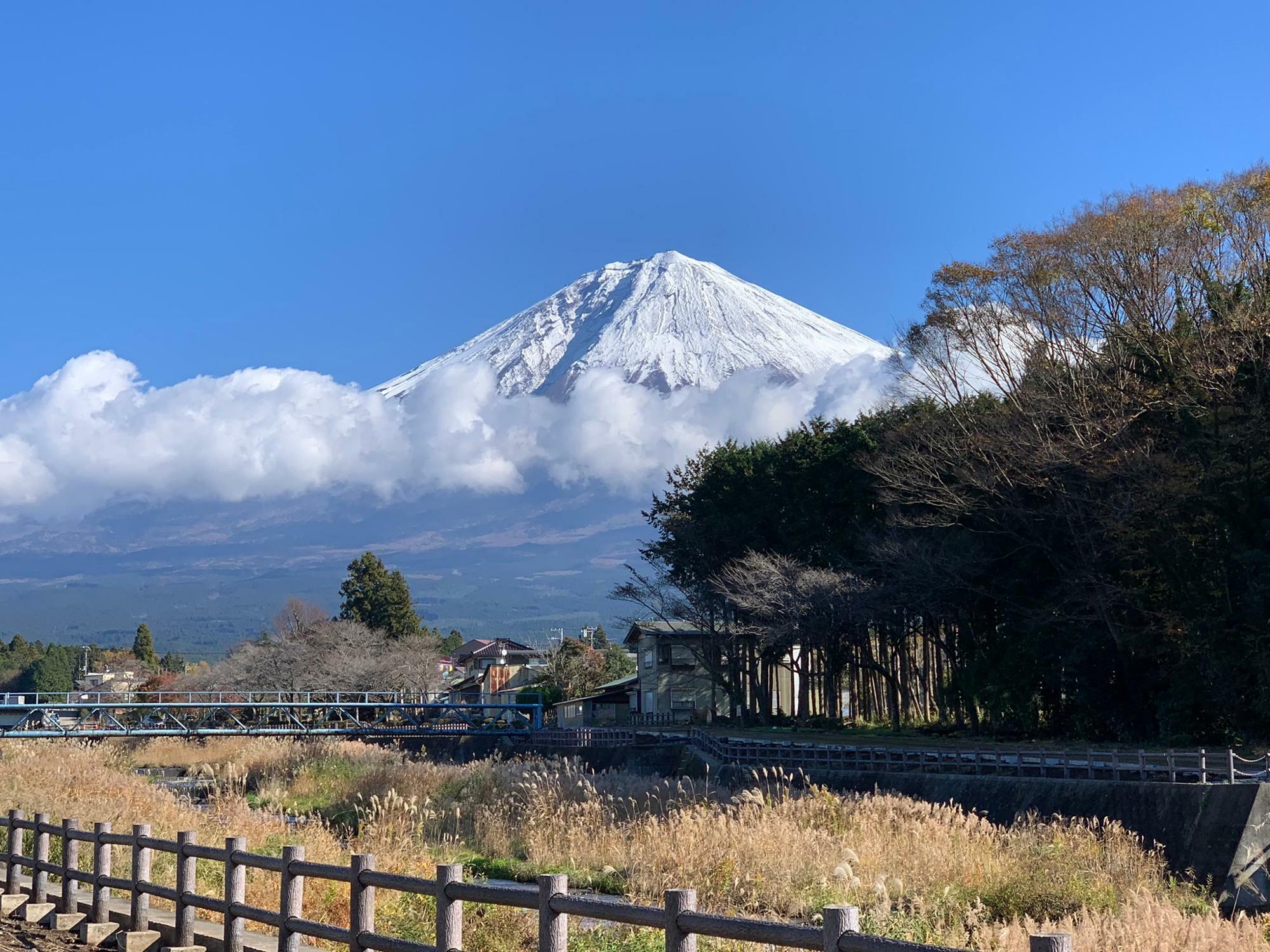 富士山が綺麗