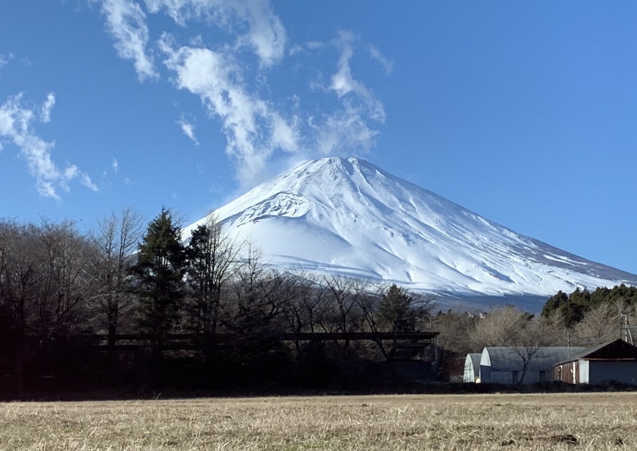 東富士演習場辺りからの富士山