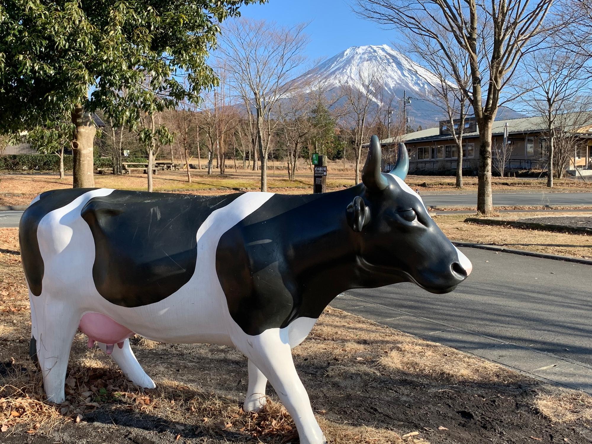 富士山と牛のオブジェ