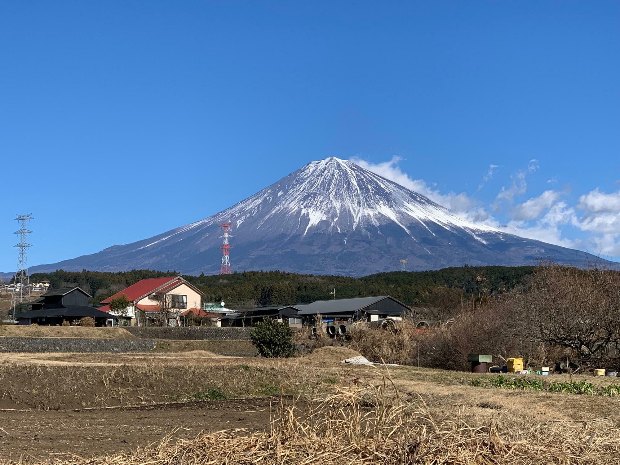 田園風景の中に富士山が映えます