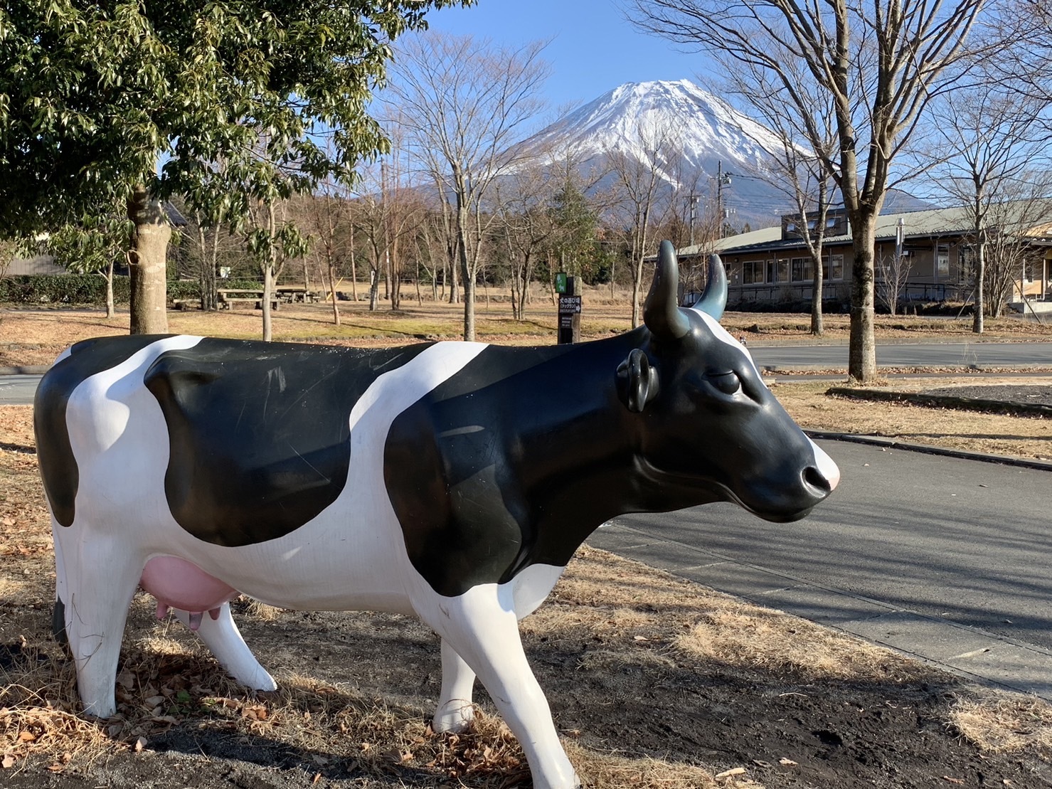 あさぎりフードパーク