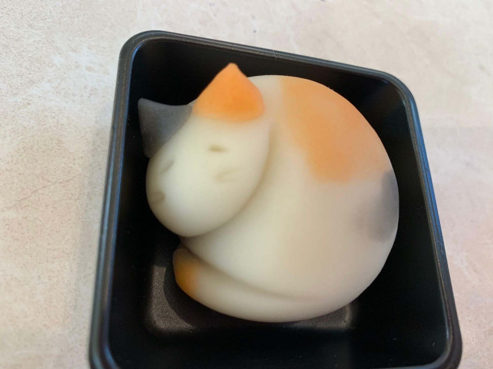三毛猫ニャンモナイトの上生菓子『陽だまり』