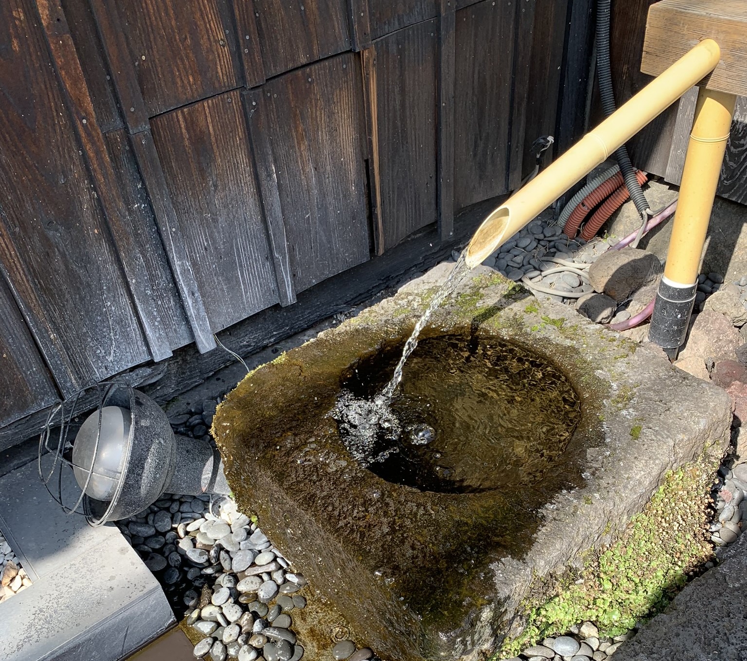 お店の前には湧水が…