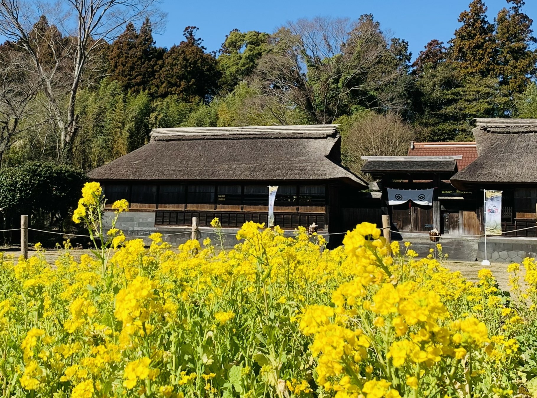 井出館