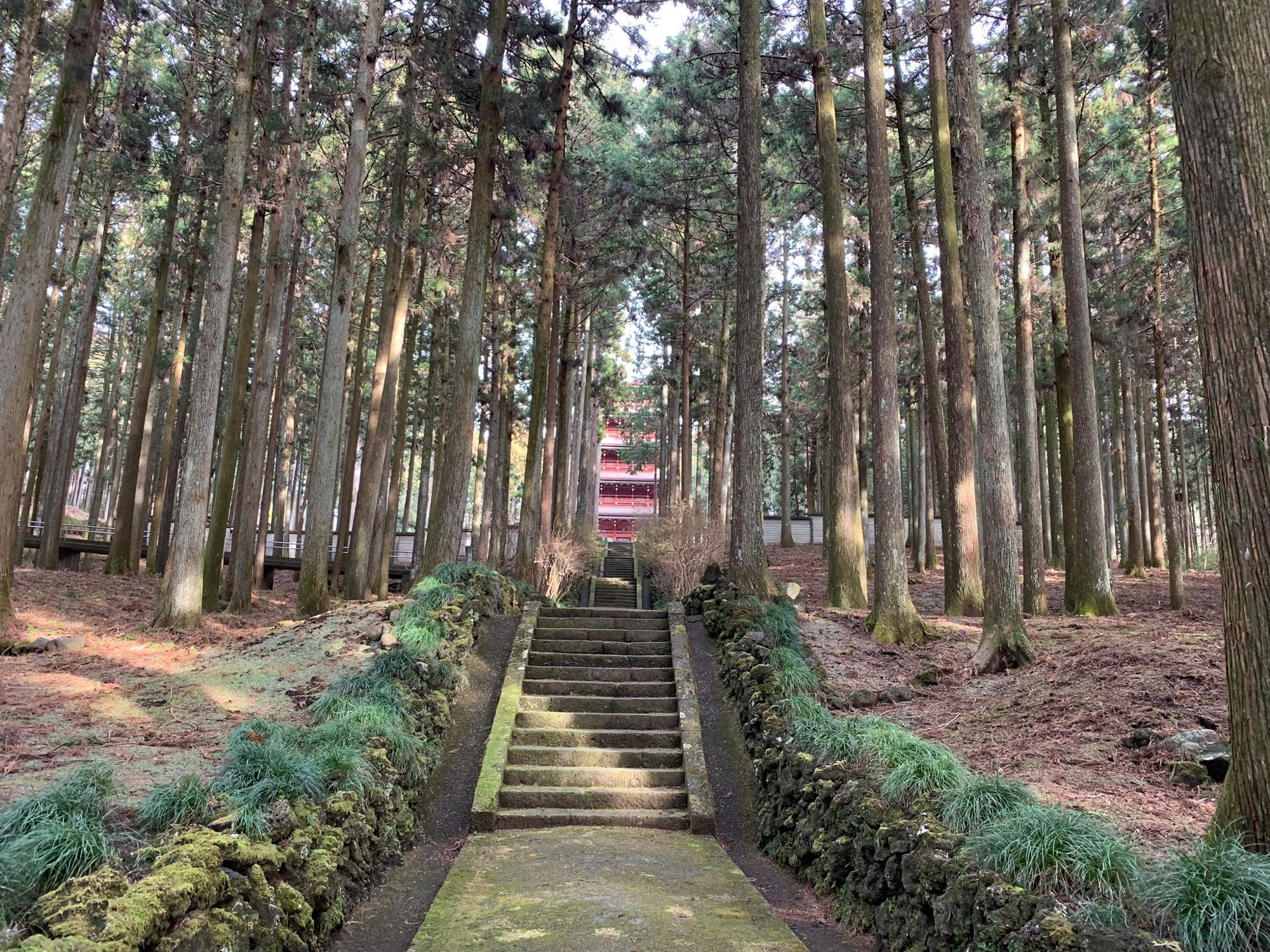 富士宮市】徳川家とも所縁の深い大石寺の五重塔!東海道一の規模 富士宮市】徳川家とも所縁の深い大石寺の五重塔!東海道一の規模