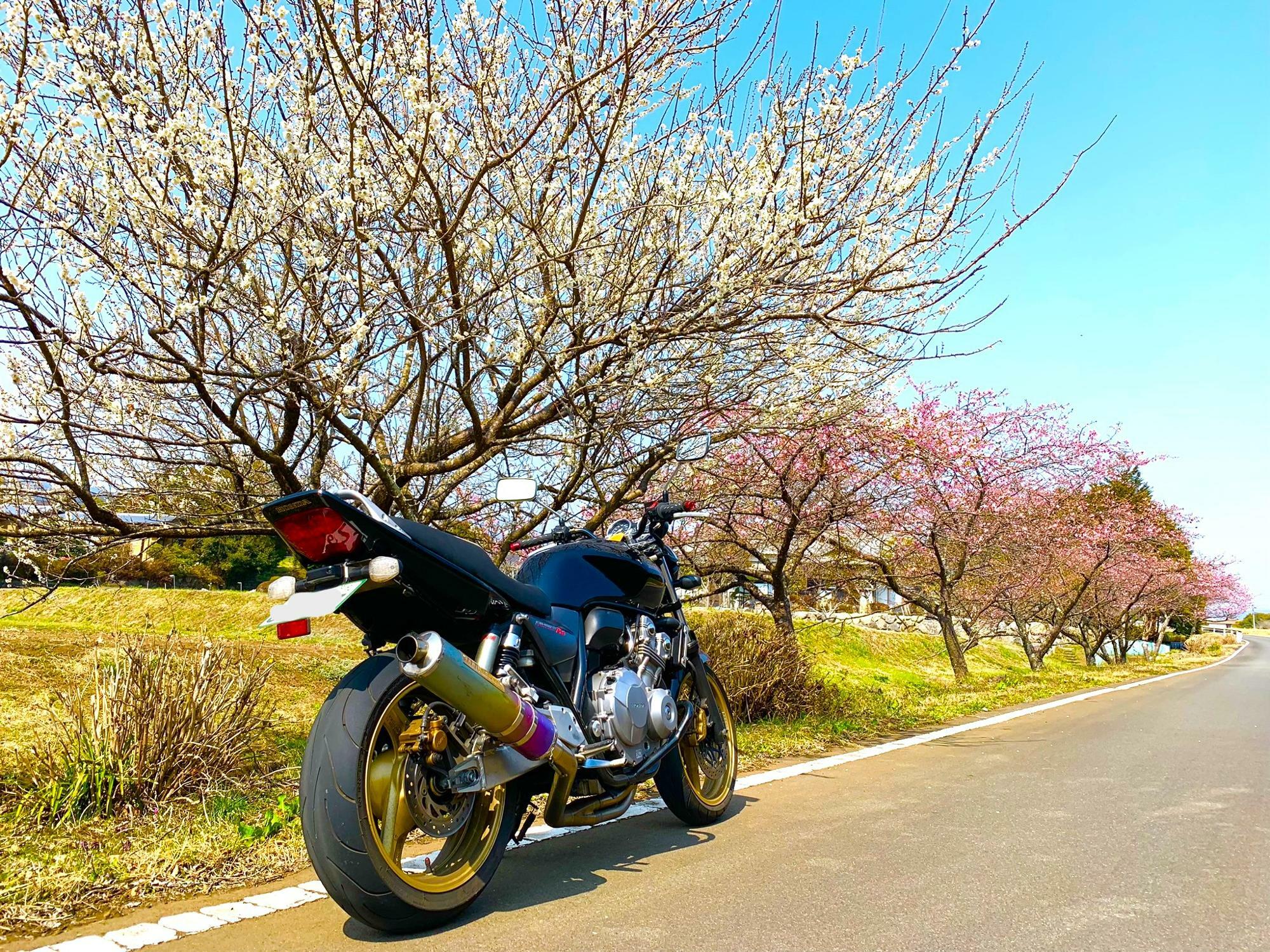 東下原親水公園道