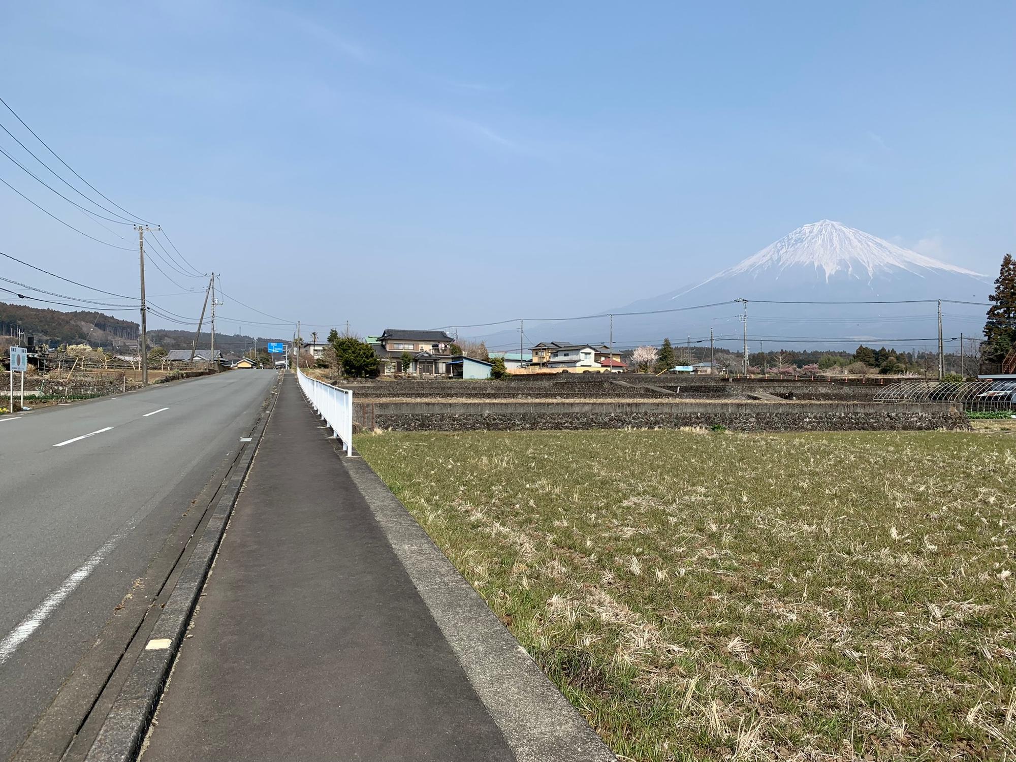 県道75号清水富士宮線