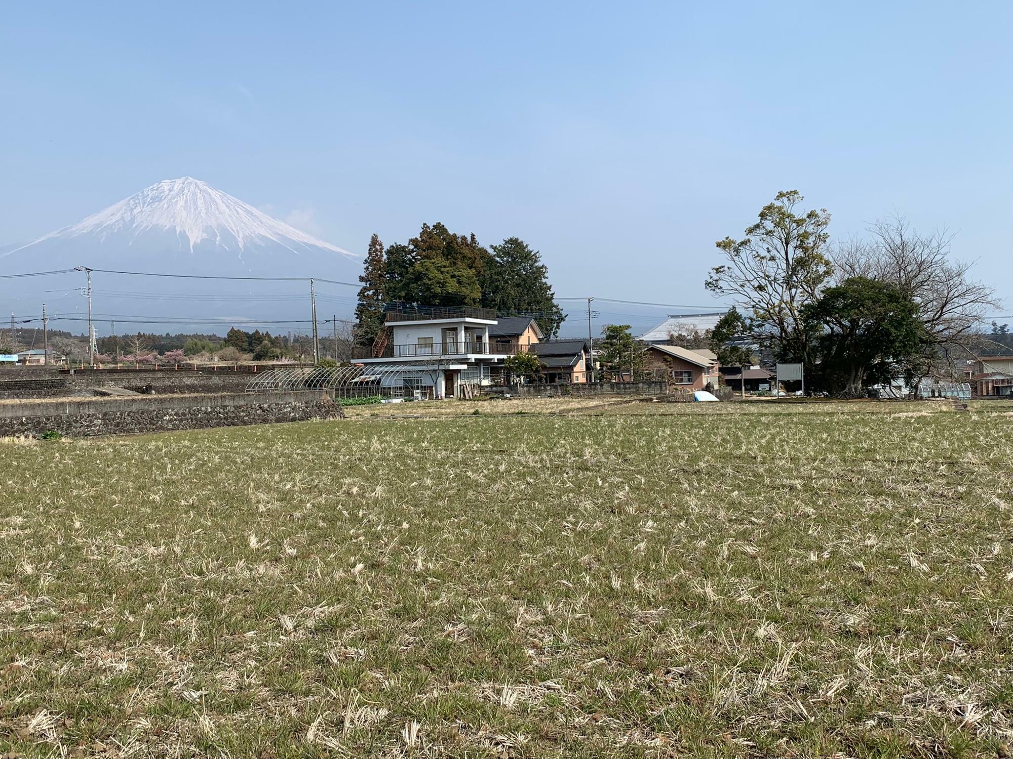 道路から見たところ（右側）