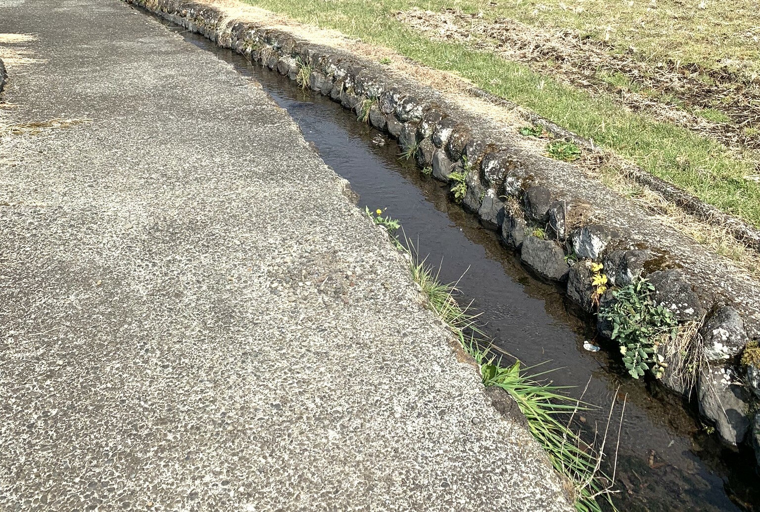 驚くほど水がキレイ