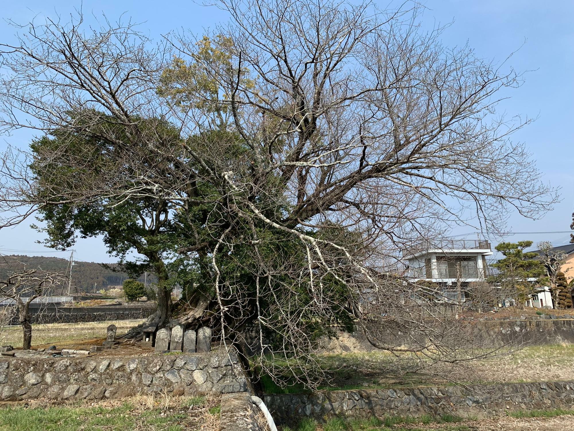 やっぱり不思議な風景です…