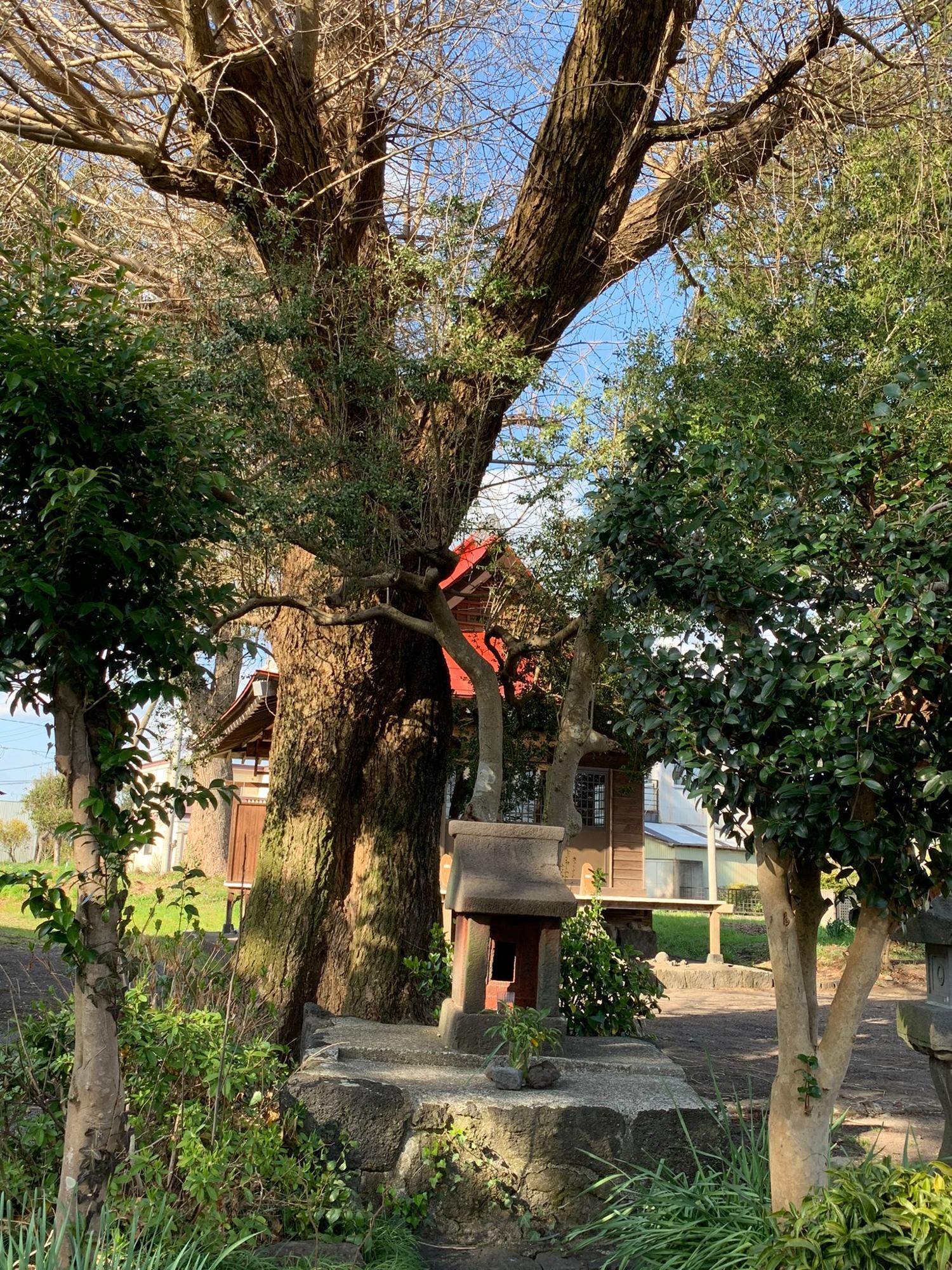 松尾神社と思われる石祠