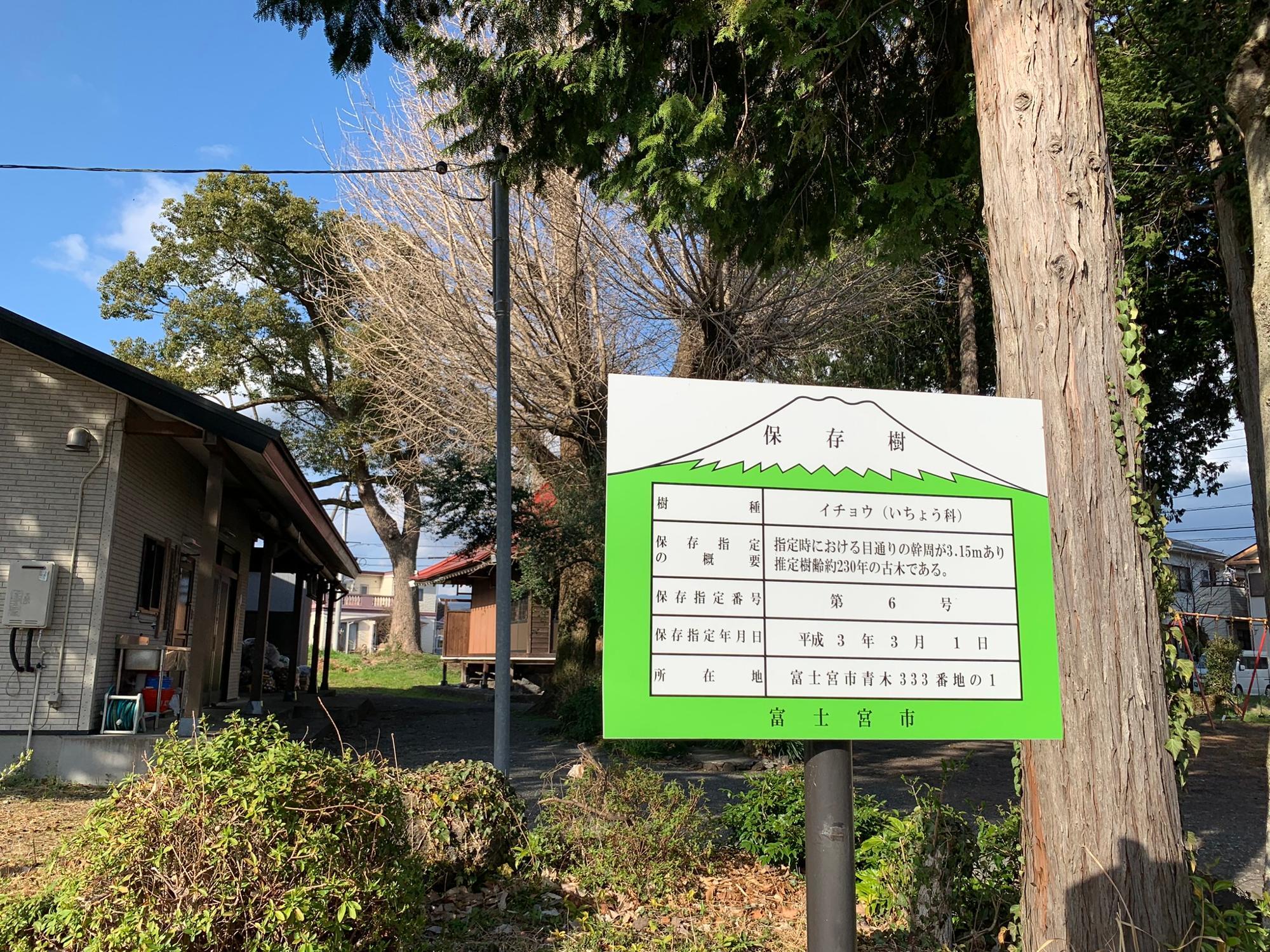 指定保存樹の看板