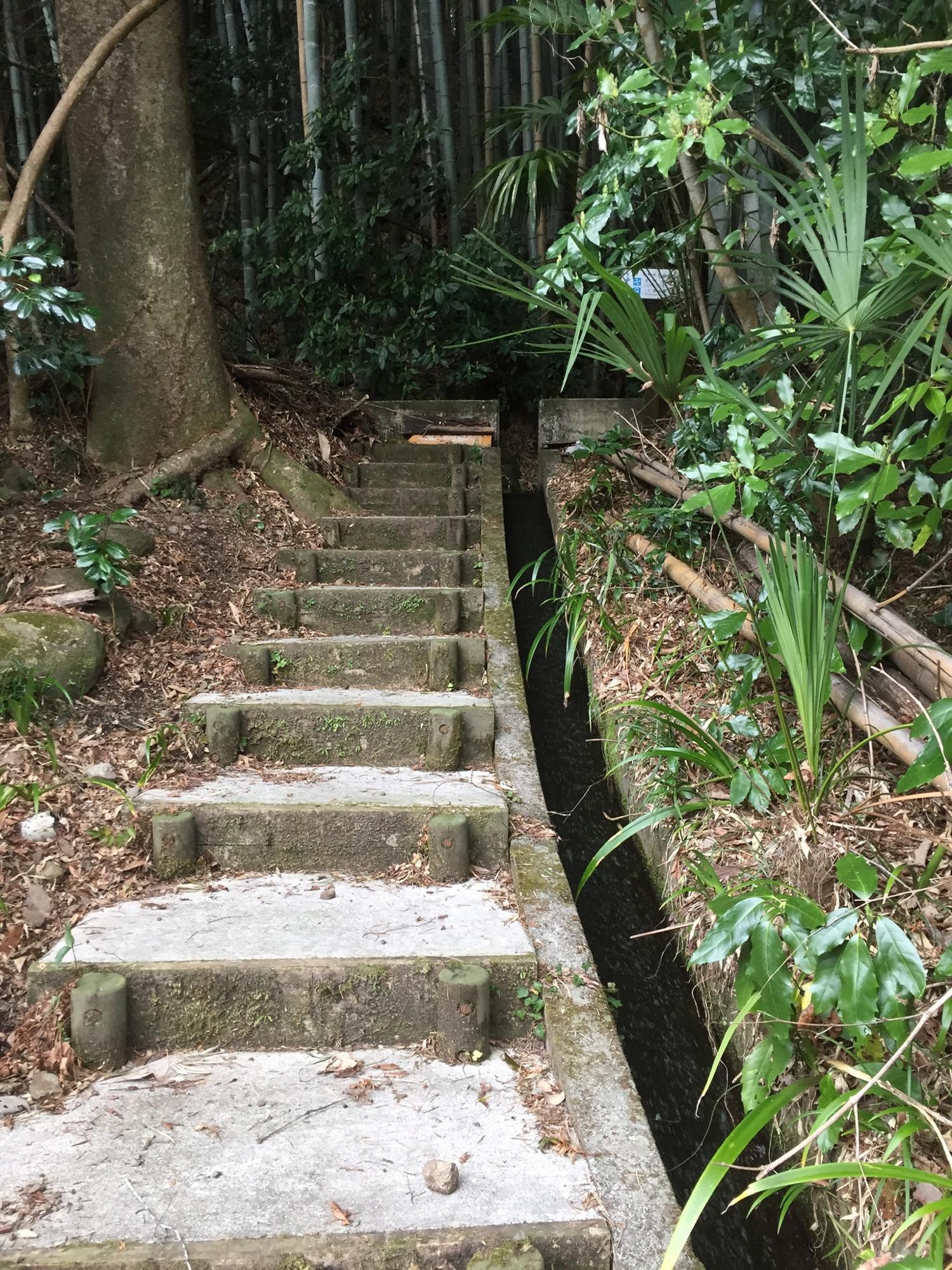 本当に遊歩道があるのか不安になるような階段