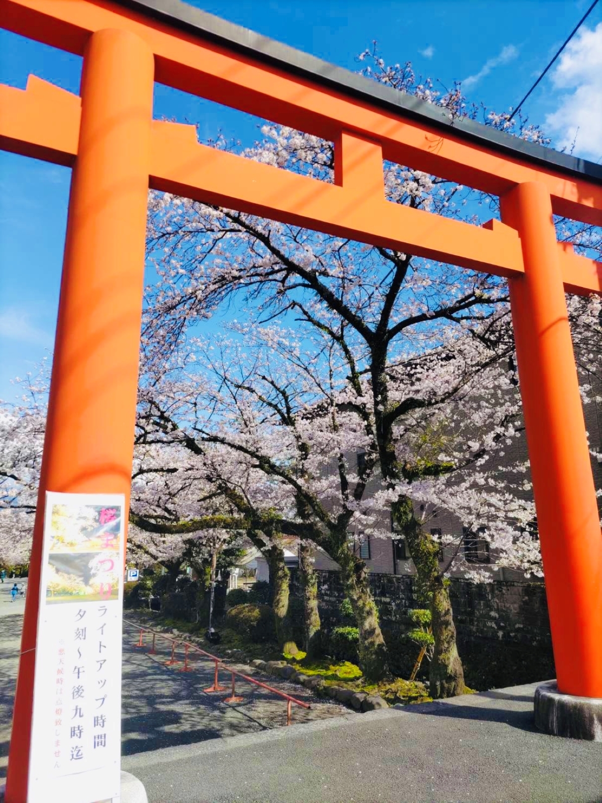 鳥居から参道を望む