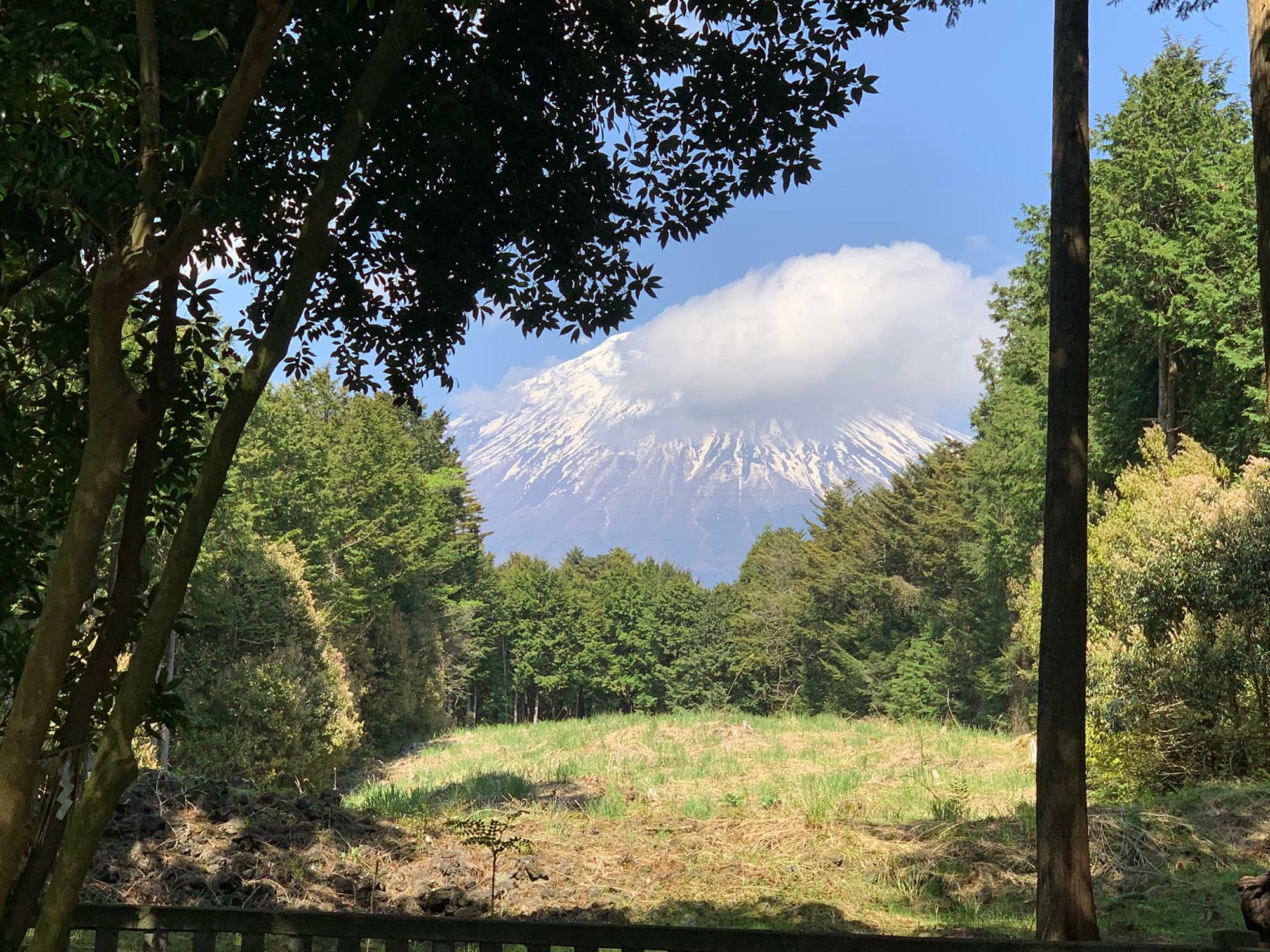 拝殿から。御神体の富士山を眺めます。