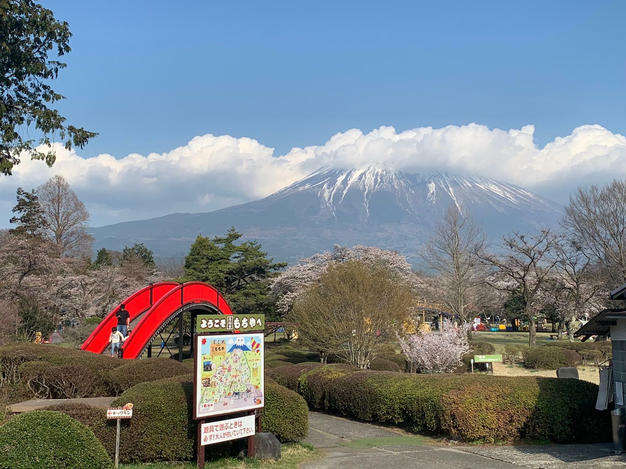 富士山が見えたら最高の景色ですね