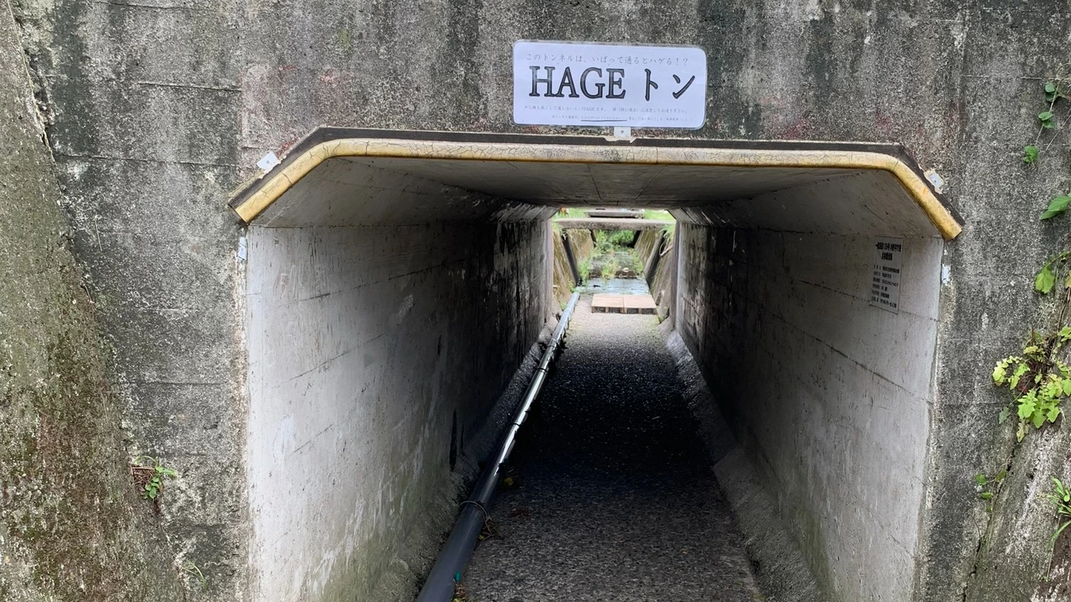 富士宮市】ちょっと危ない地下『尾崎地下道』とハゲる地下道『HAGEトン 