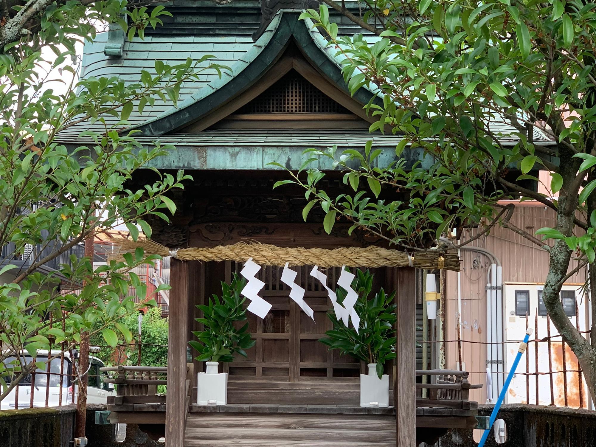 青々とした榊が供えられています