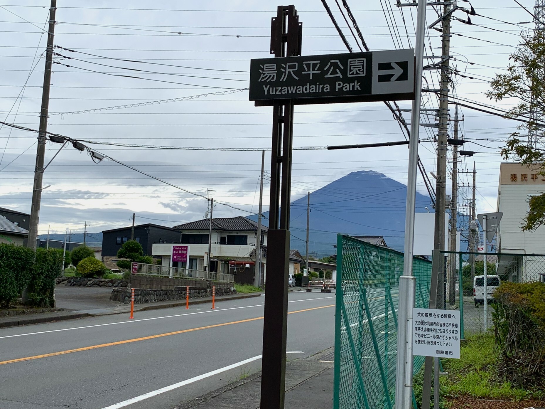 道路からは富士山が見えます