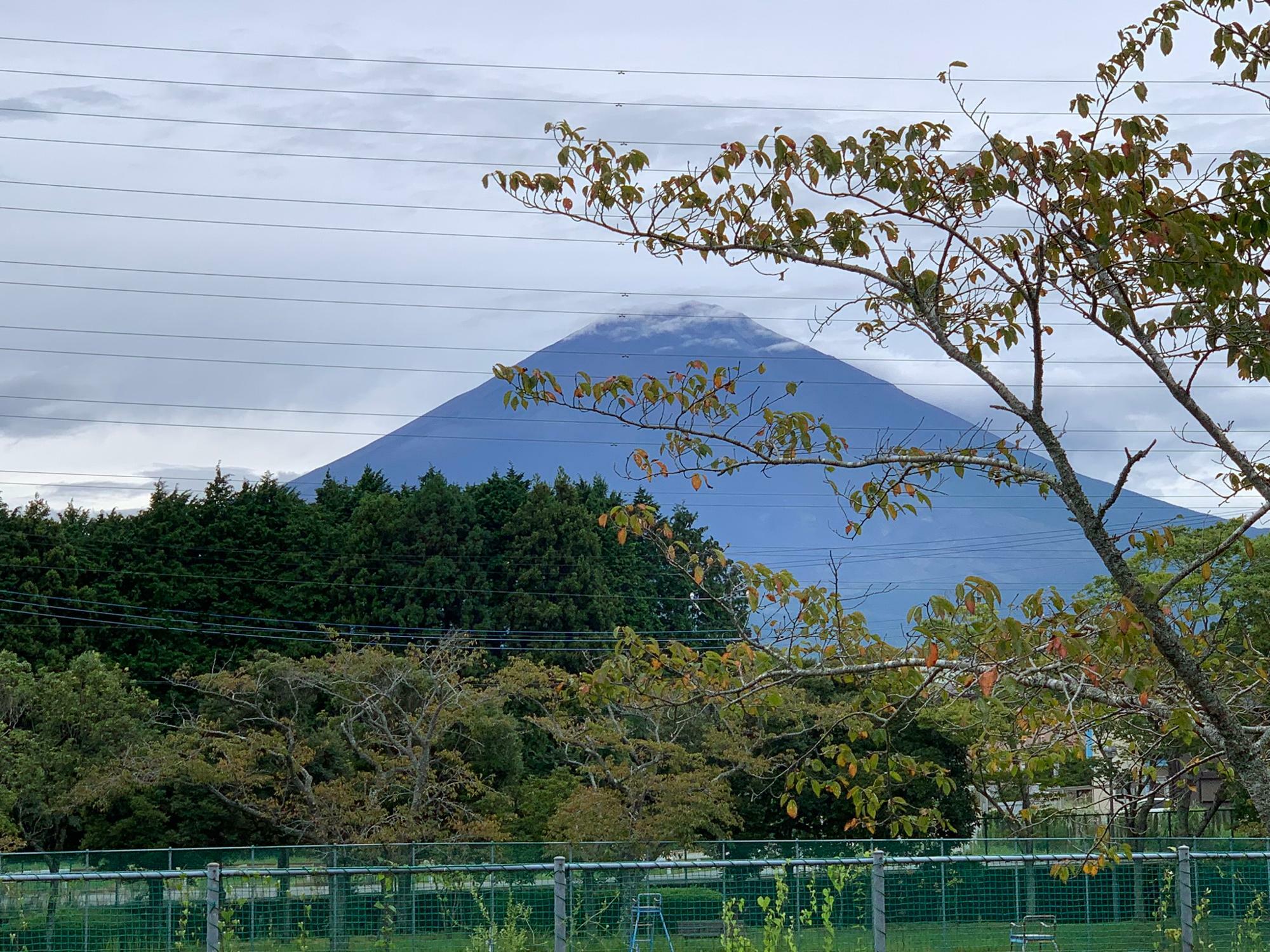 あずまやから見た富士山