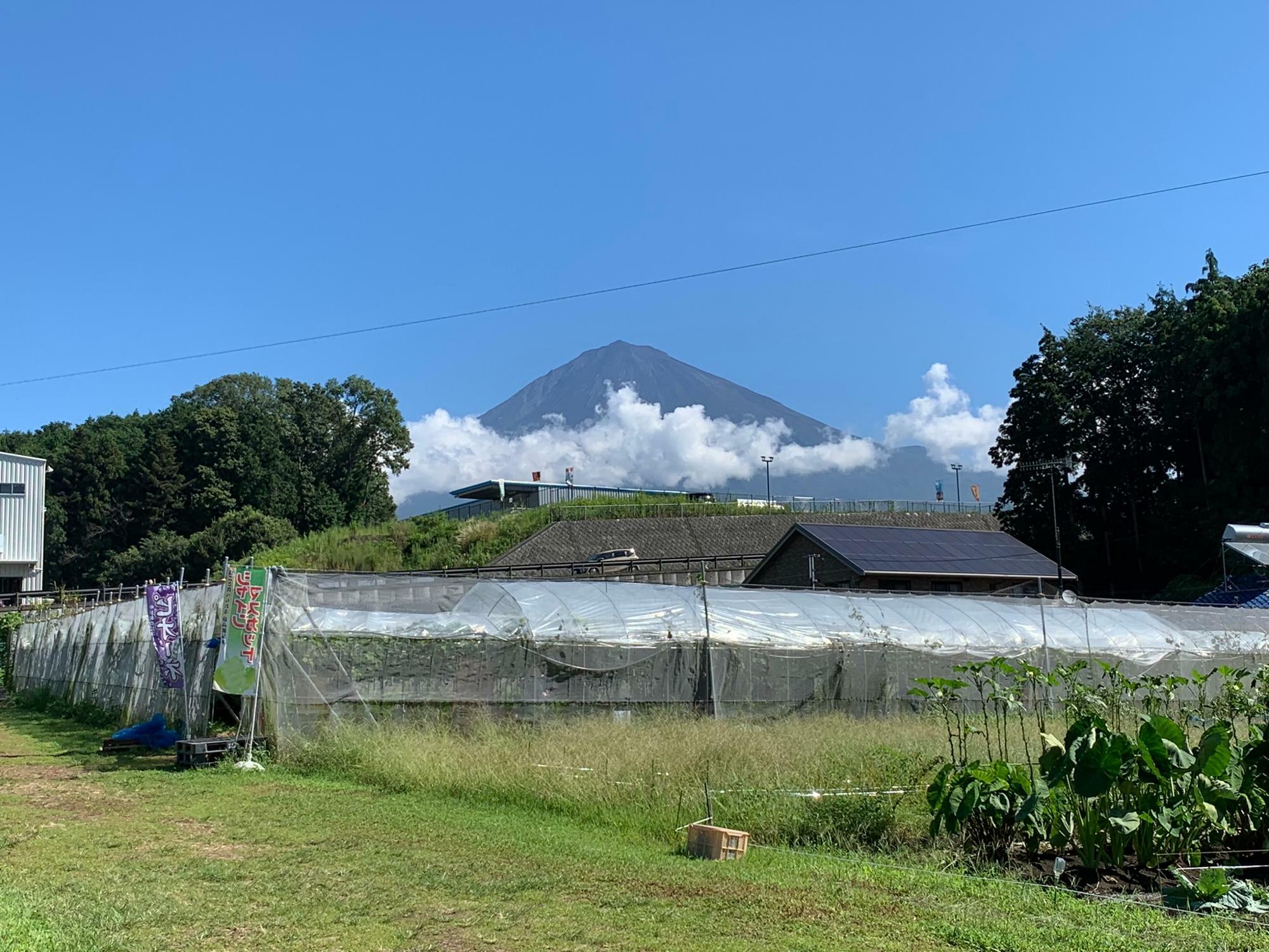 敷地から富士山が見えました