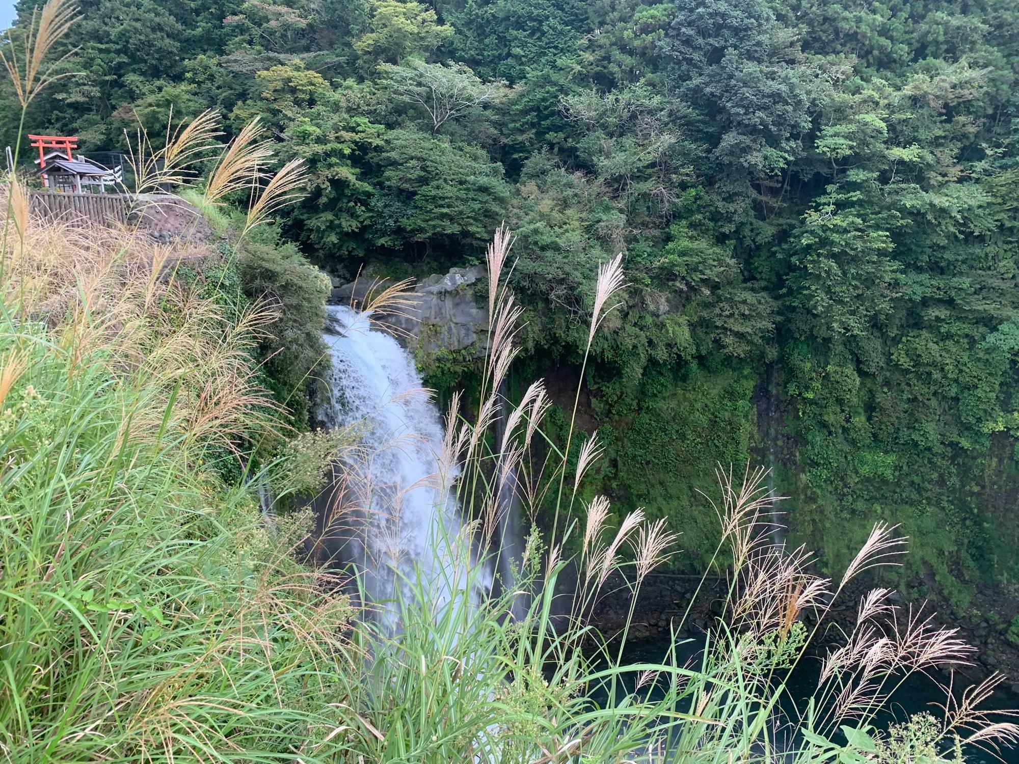 展望台からの眺め