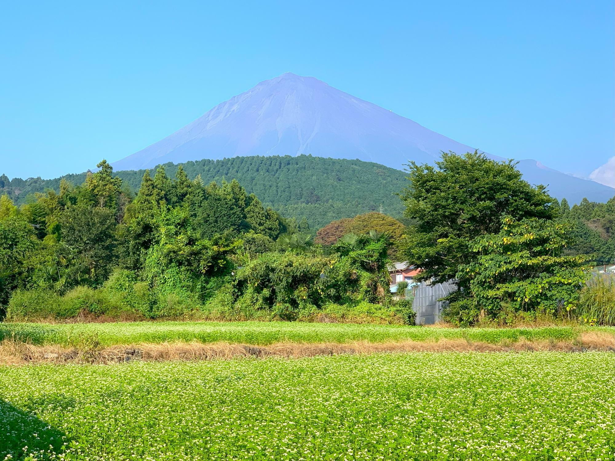 富士山が真正面に見えます