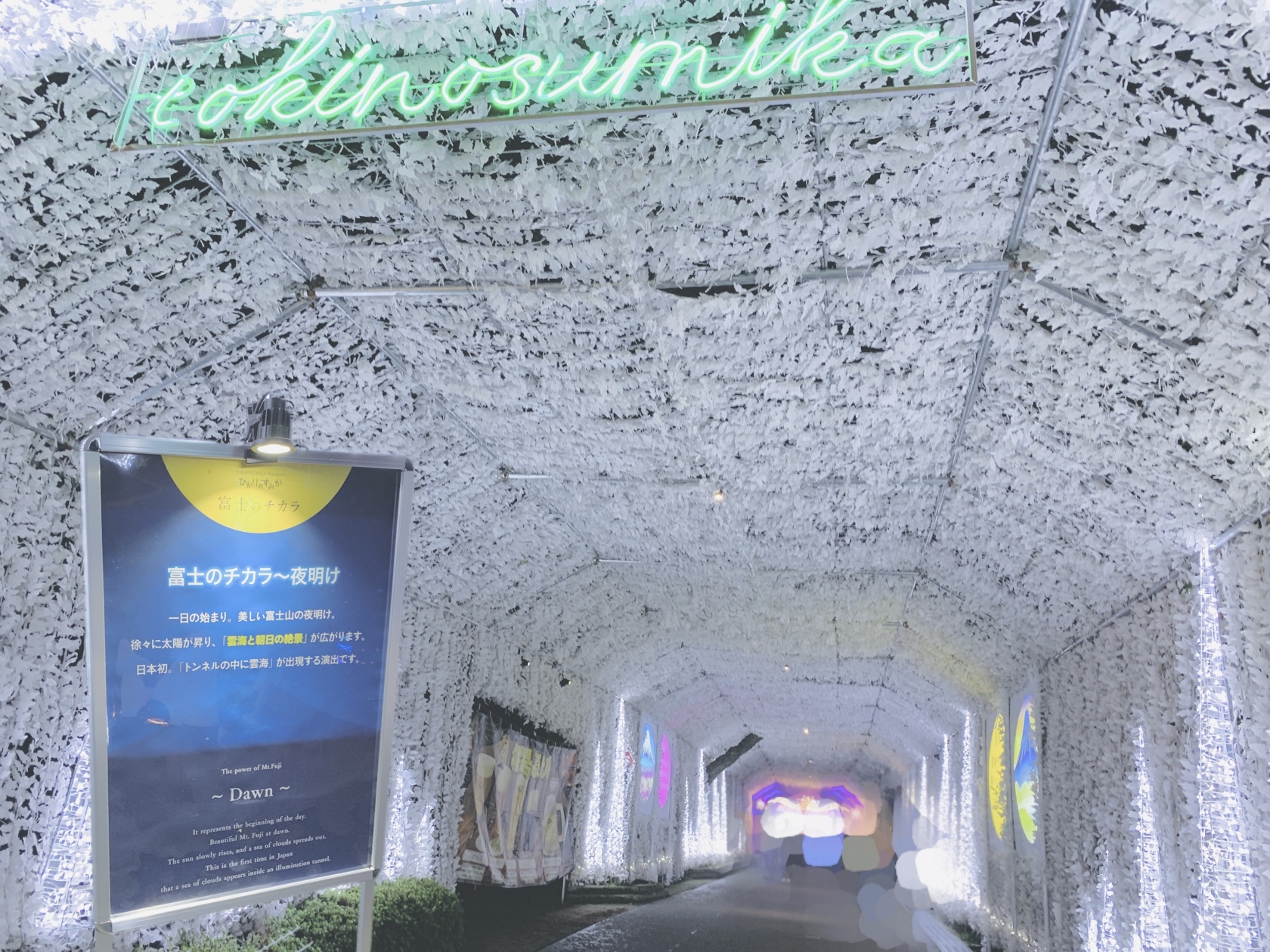イルミネーショントンネルの中に雲海があるのは、初めての体験！