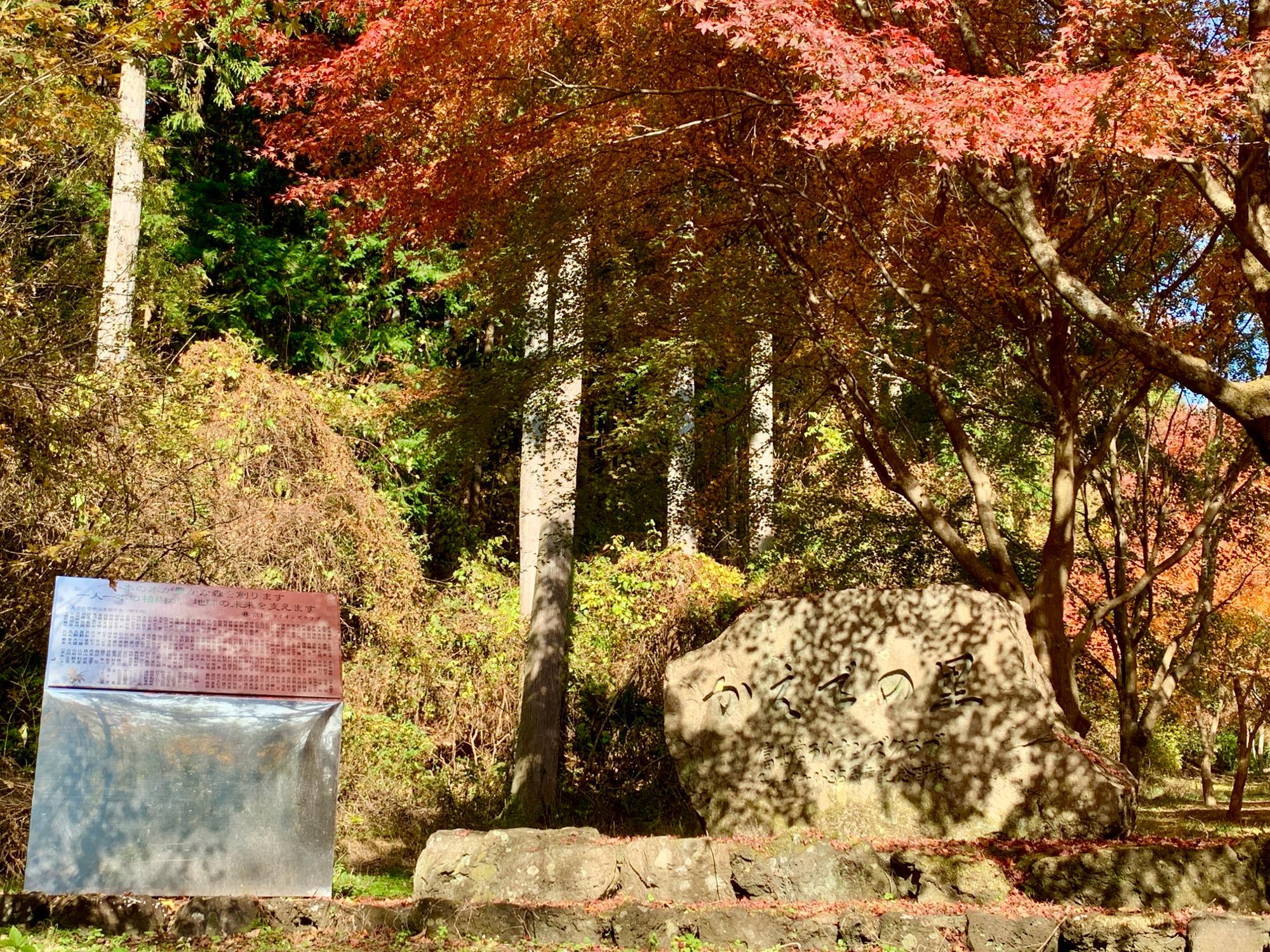 記念碑の横には植樹された方々のお名前が記されています。