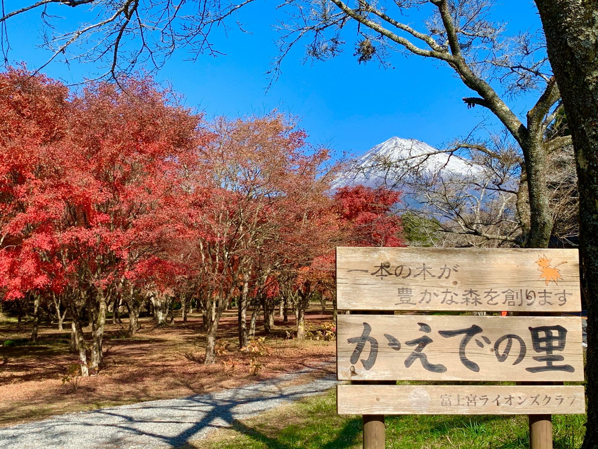 看板と紅葉と富士山