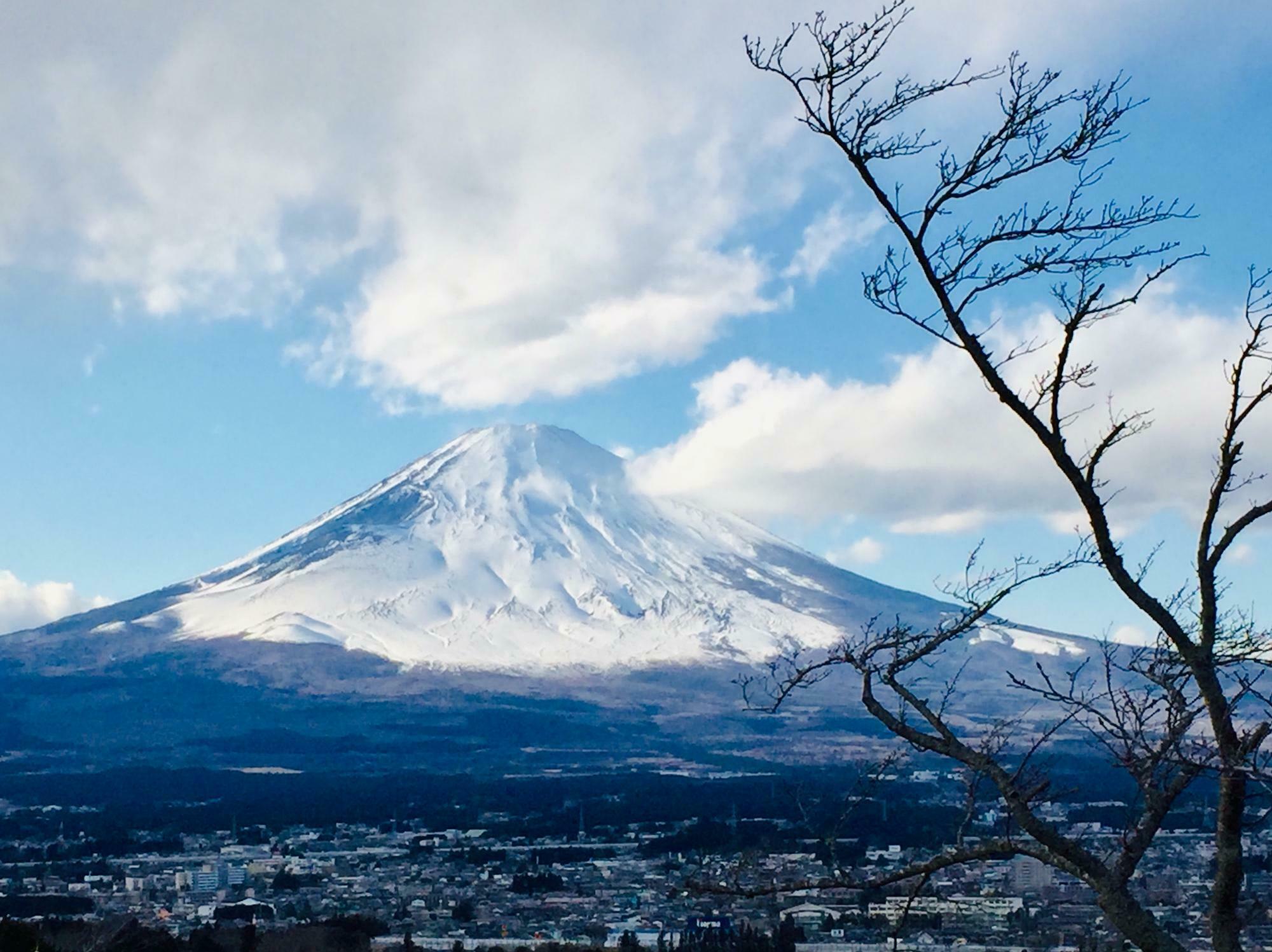 平和公園から望む富士山