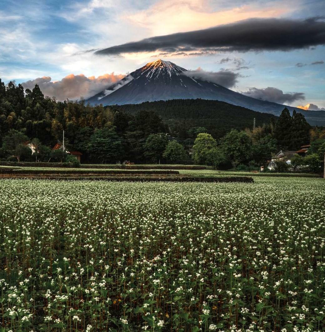 写真提供　hiroshiさん（インスタhiro.photo1128)