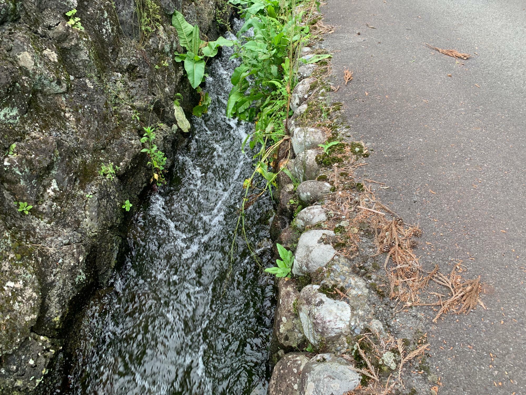 勢い良く水の流れる水路