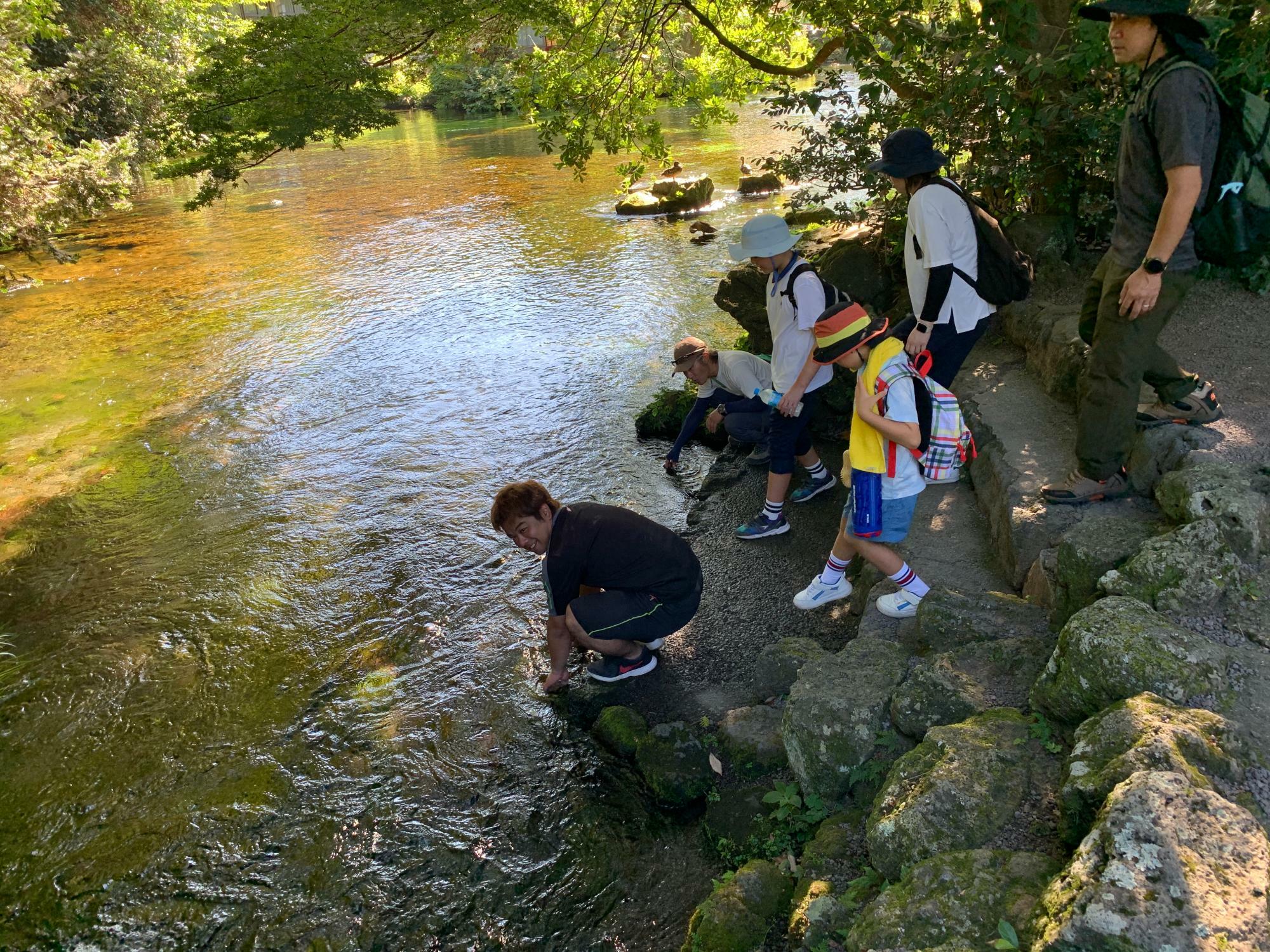 湧玉池の禊所で清流に触れます