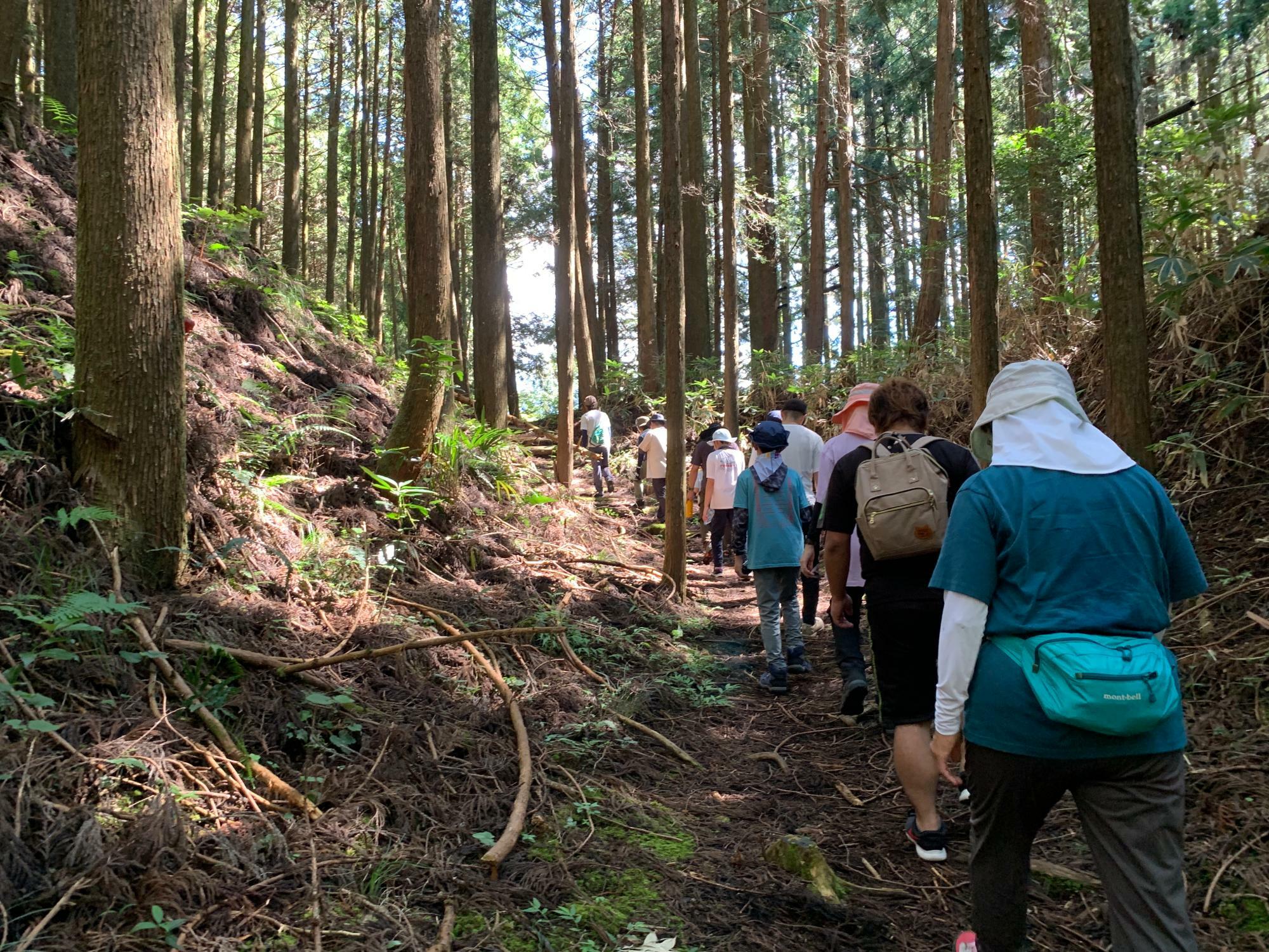 村山登山口から登山道へ