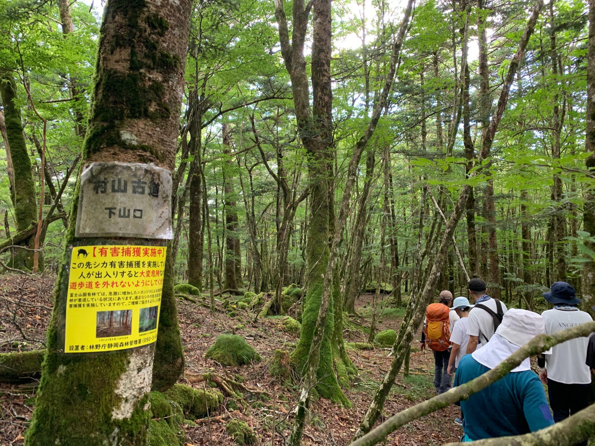 村山古道下山口と表示があります