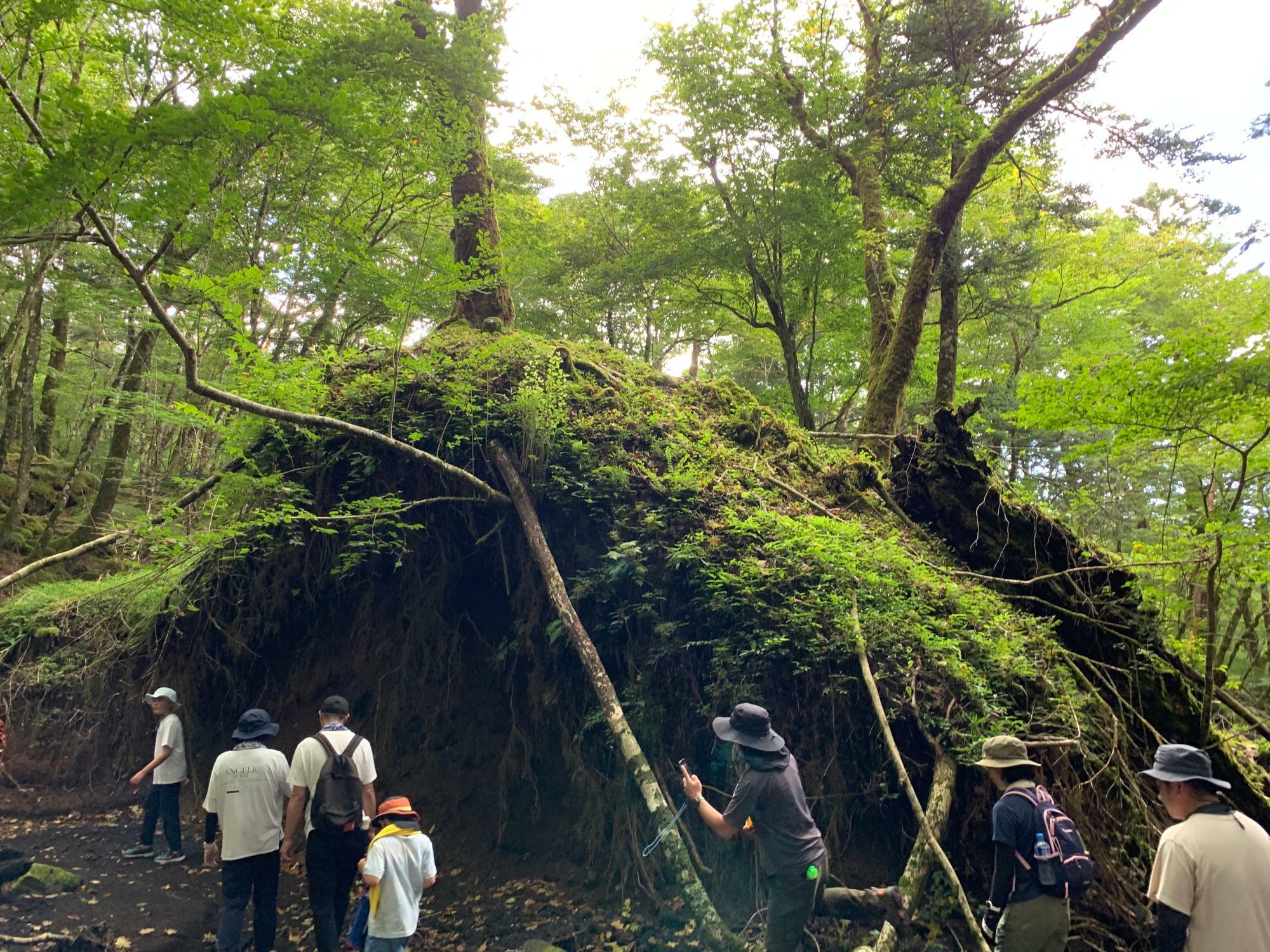 坂を下りたところ