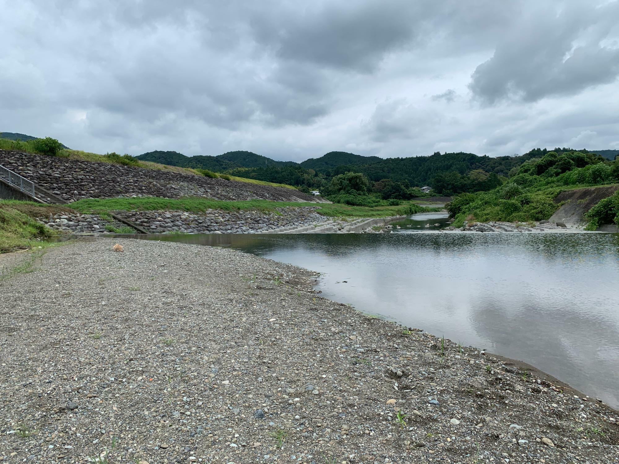 芝川稲瀬川