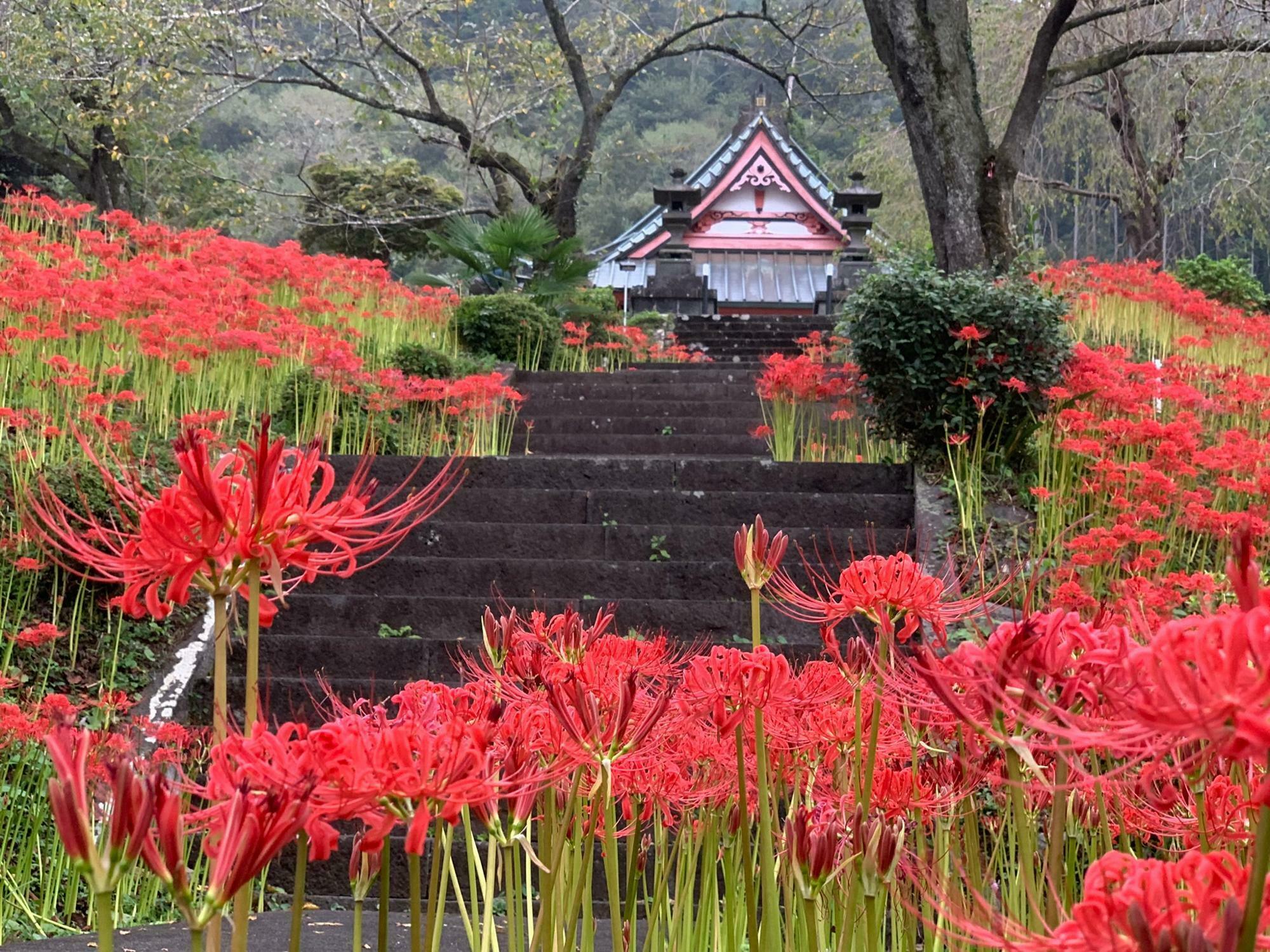 昨年の興徳寺さん