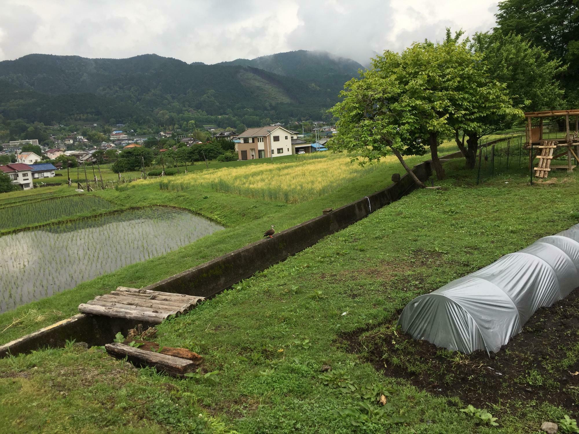 FUJIYAMA HUNTER'S BEER醸造所から見た柚野の風景