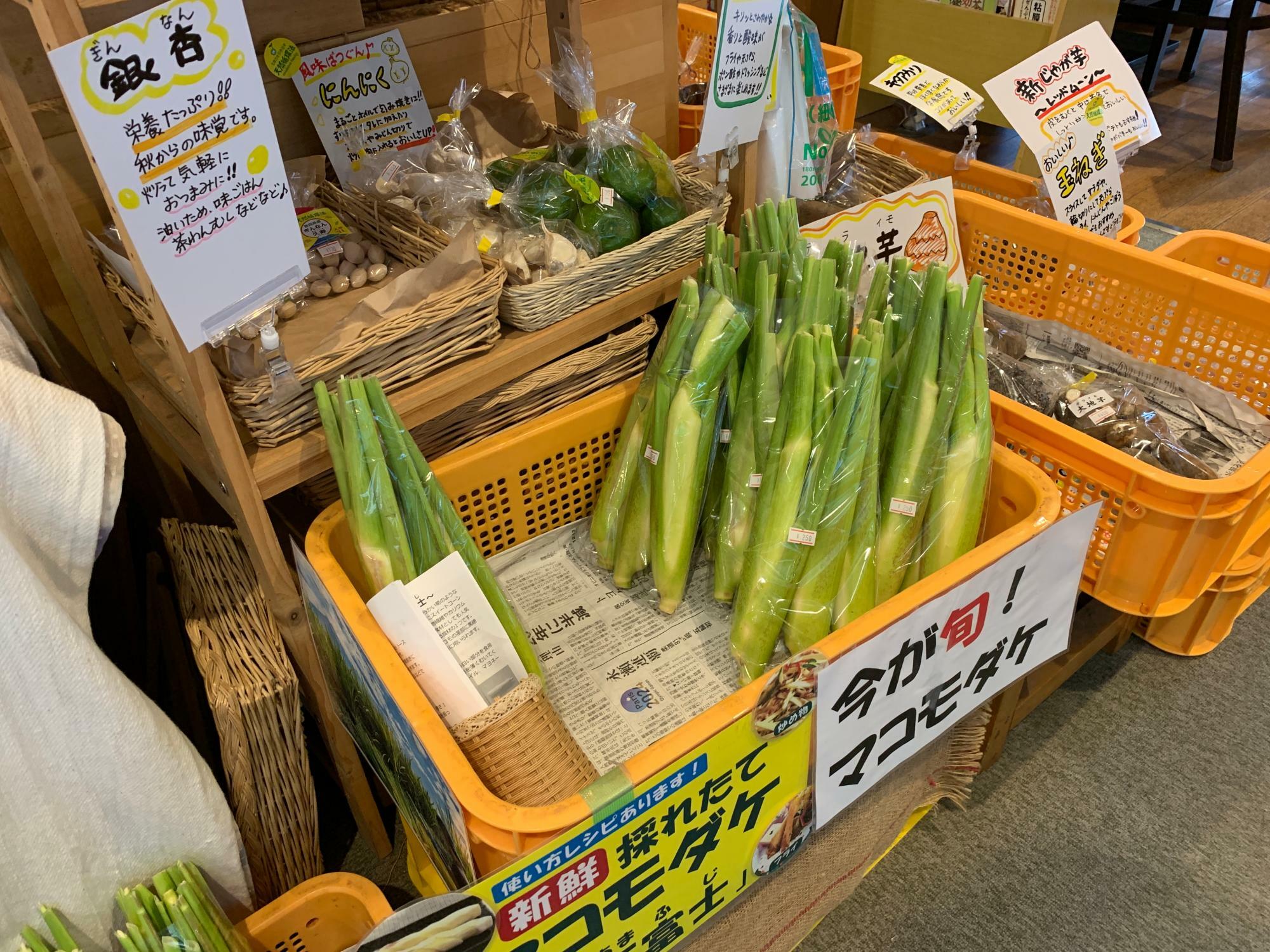 採れたてのマコモダケが店頭で販売されています