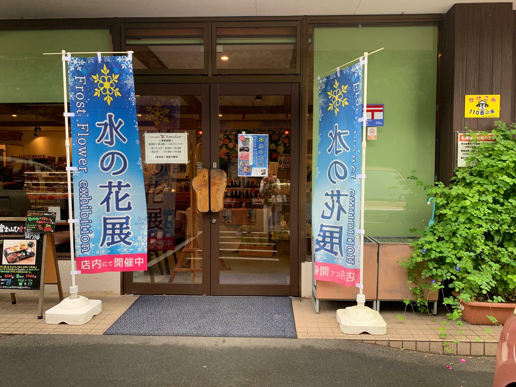 ロータスランド入口には大きく水の花展ののぼりが出ています