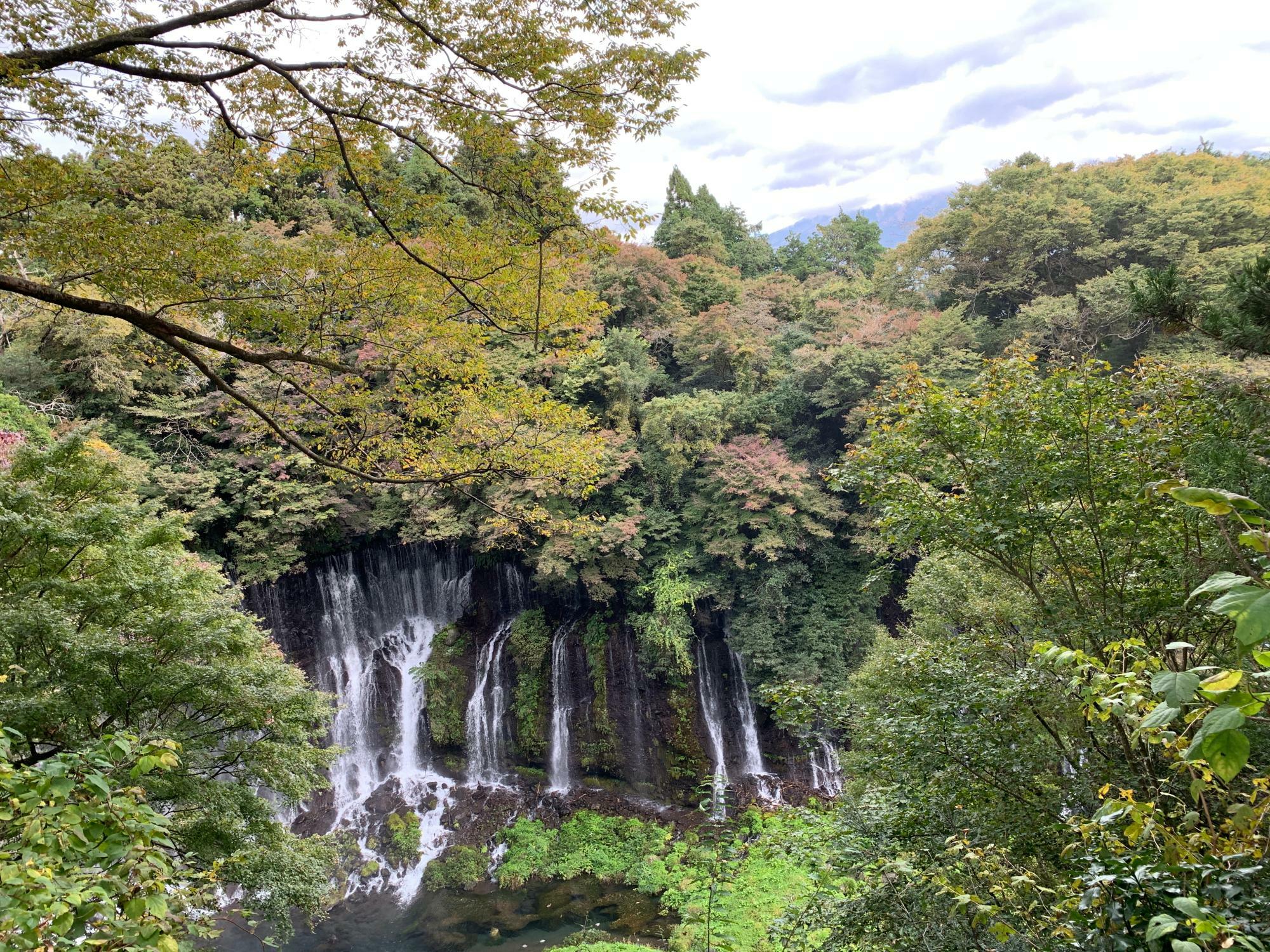 11月8日の様子