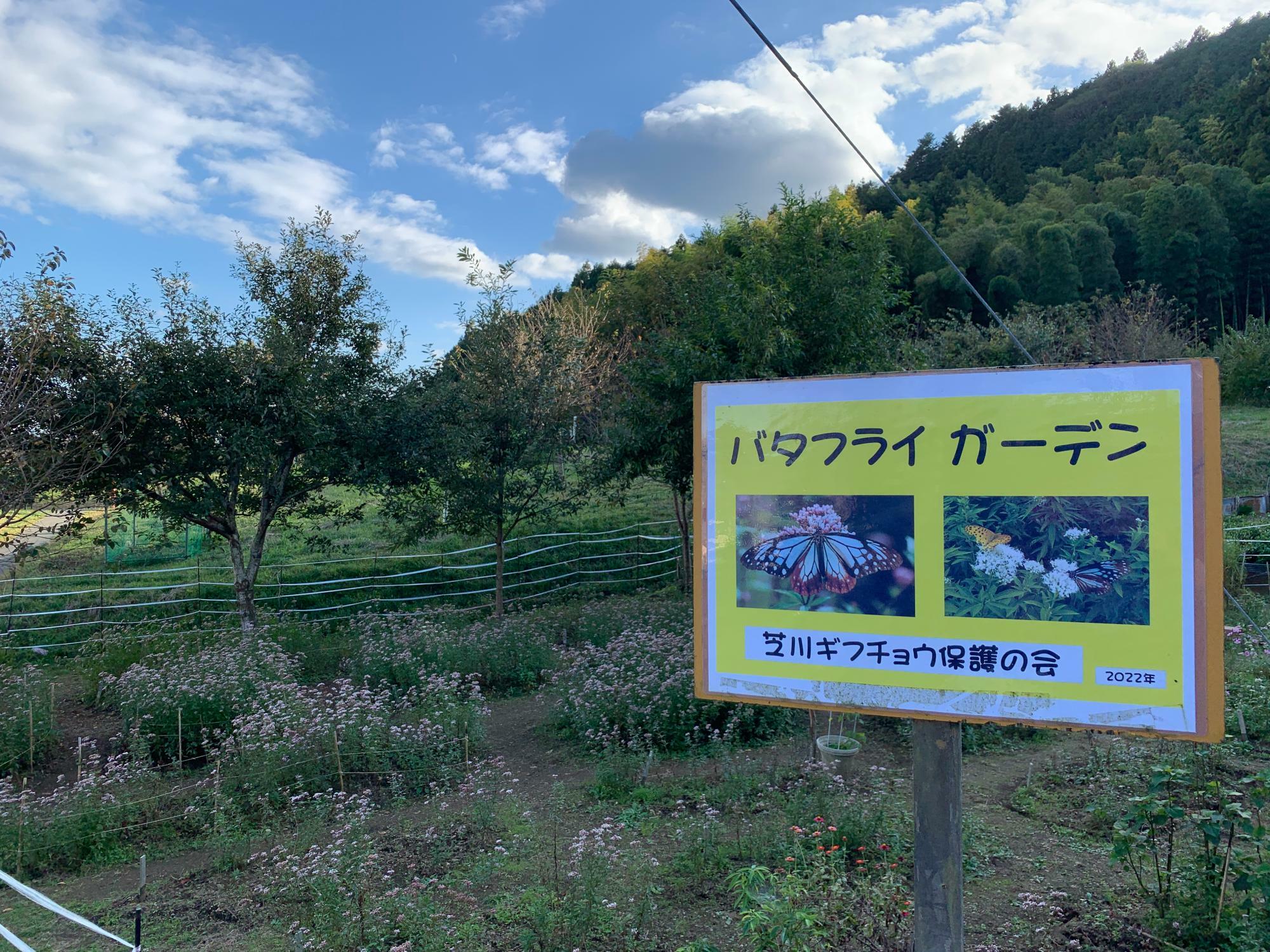 道路沿いから