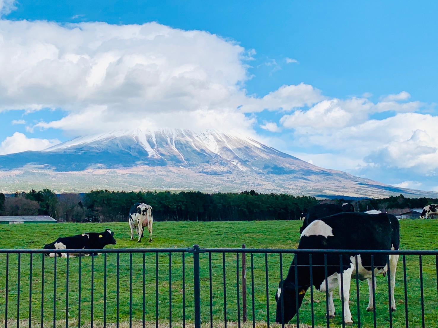 朝霧高原