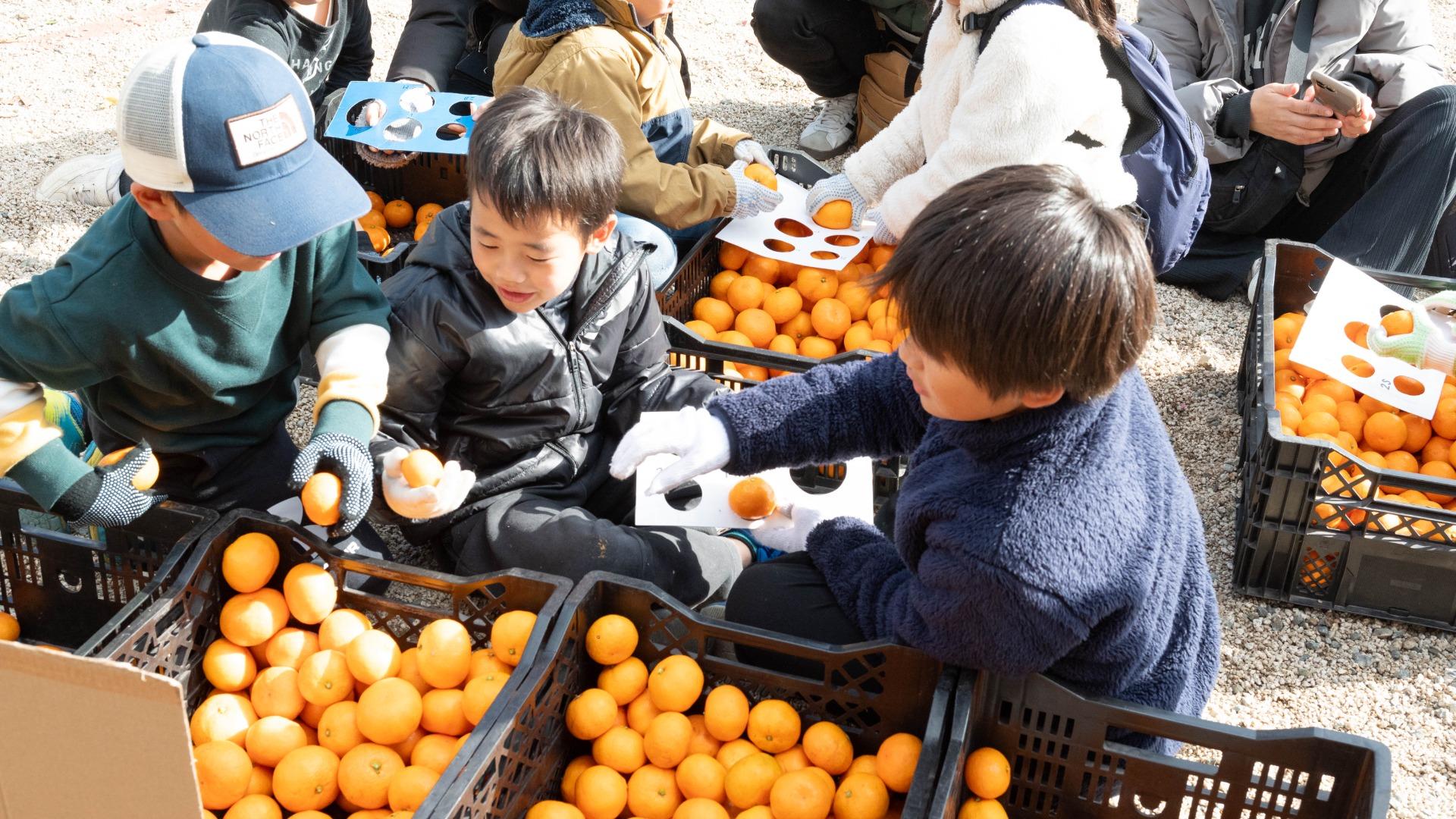 福山市】田尻町のみかん畑で「みかん農家さん体験」！子どもたちの笑顔も丸～くなるイベントに密着（山口ちゆき） - エキスパート - Yahoo!ニュース