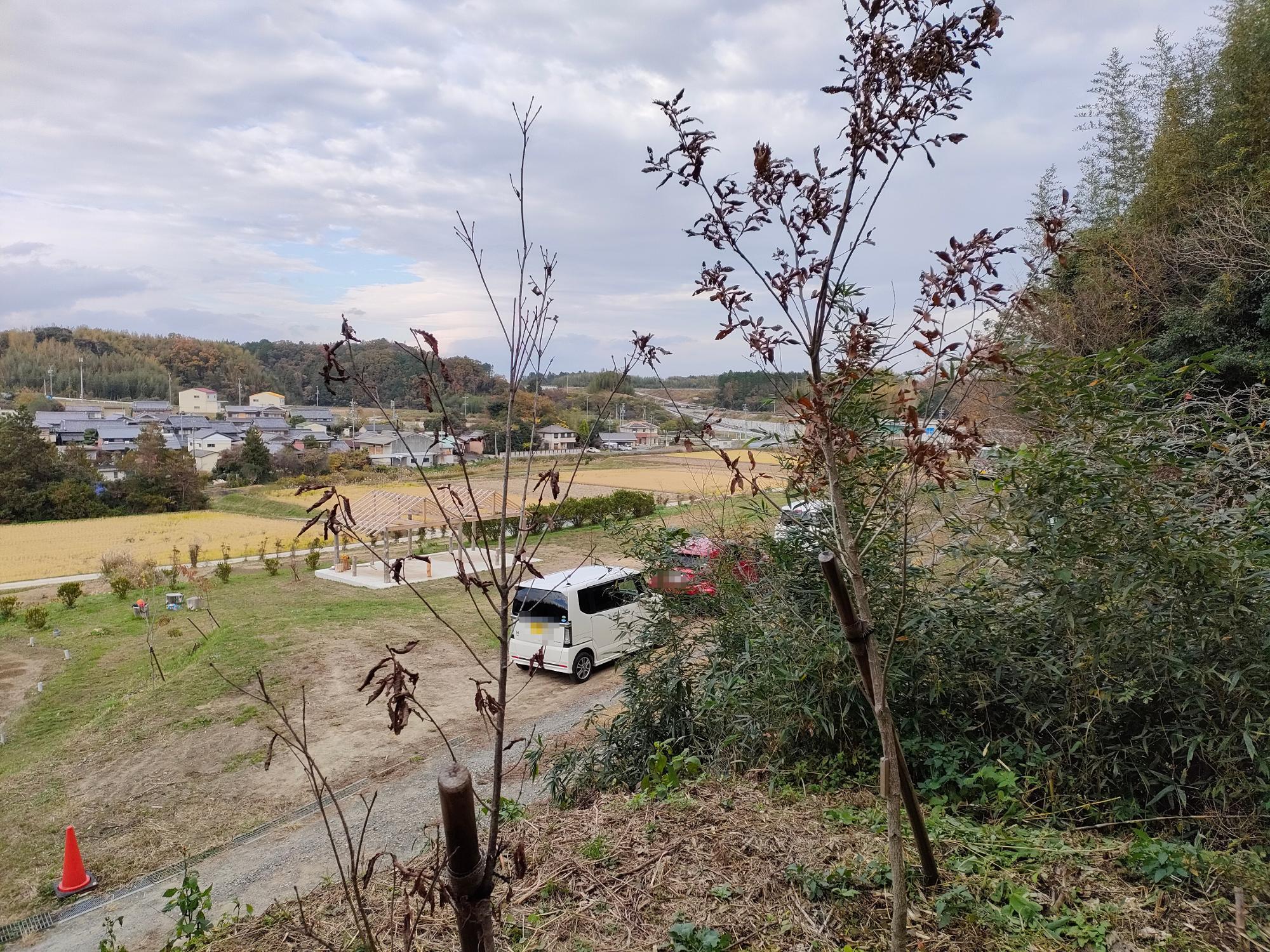 どんぐりの丘からみたそよかぜ広場と植樹されたどんぐりの木