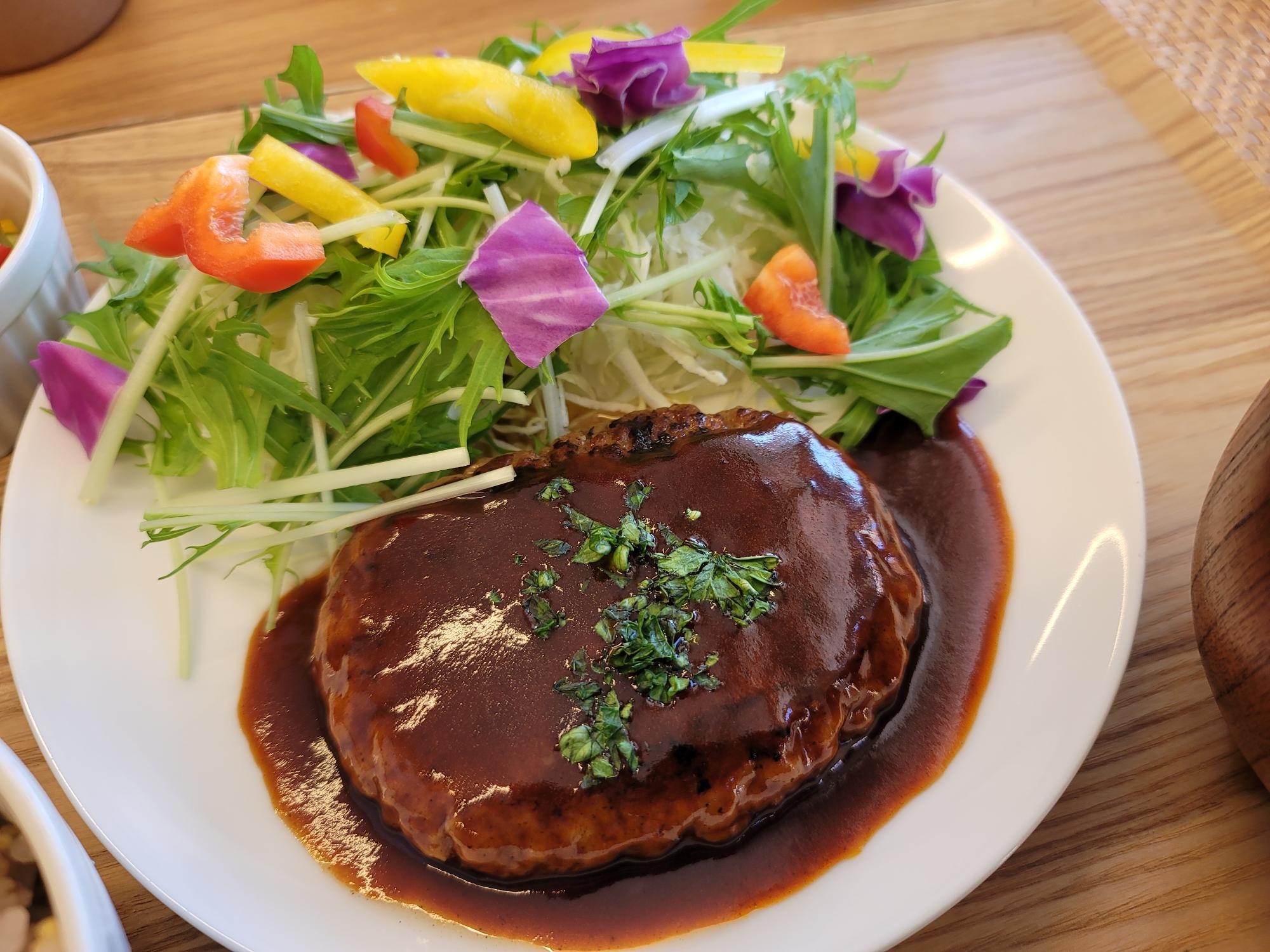 彩り鮮やかな生野菜。ハンバーグには、生のパセリがトッピングされていました。