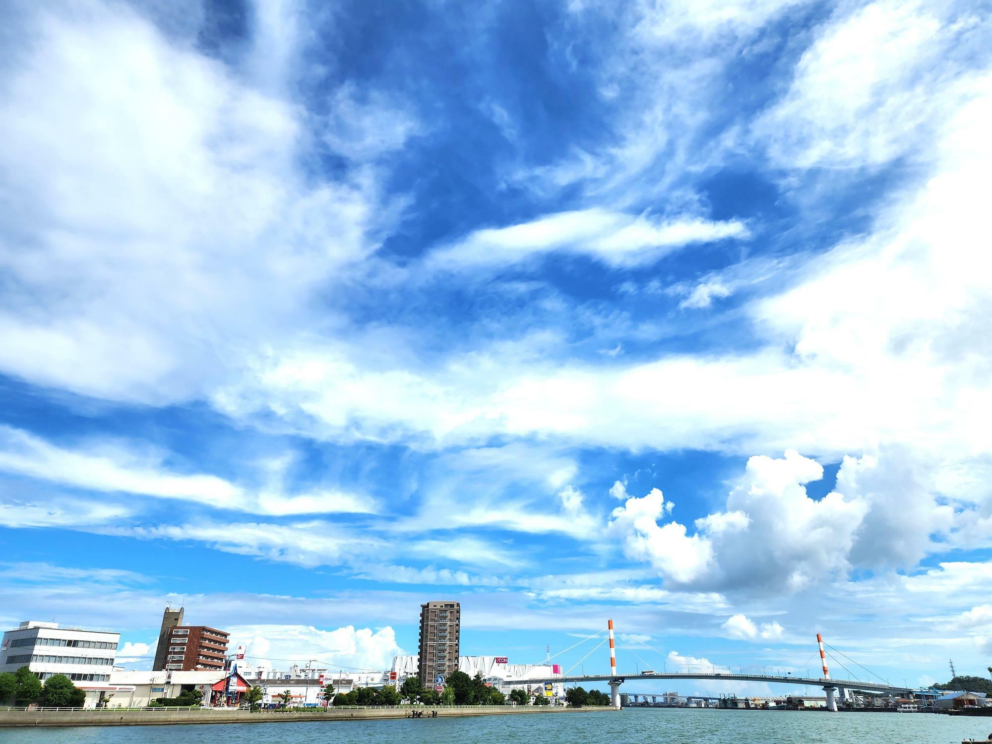 「万代中央ふ頭」から眺望できる末広大橋や徳島市内の街並み。