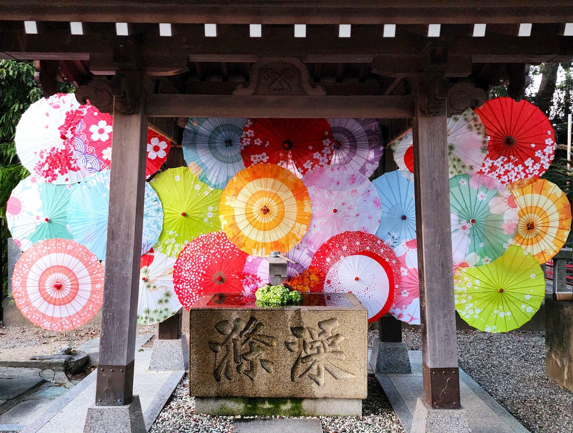 「大御和神社」の「手水舎（てみずしゃ・ちょうずしゃ）」に飾られた和傘。写真は過去に撮影したもの。